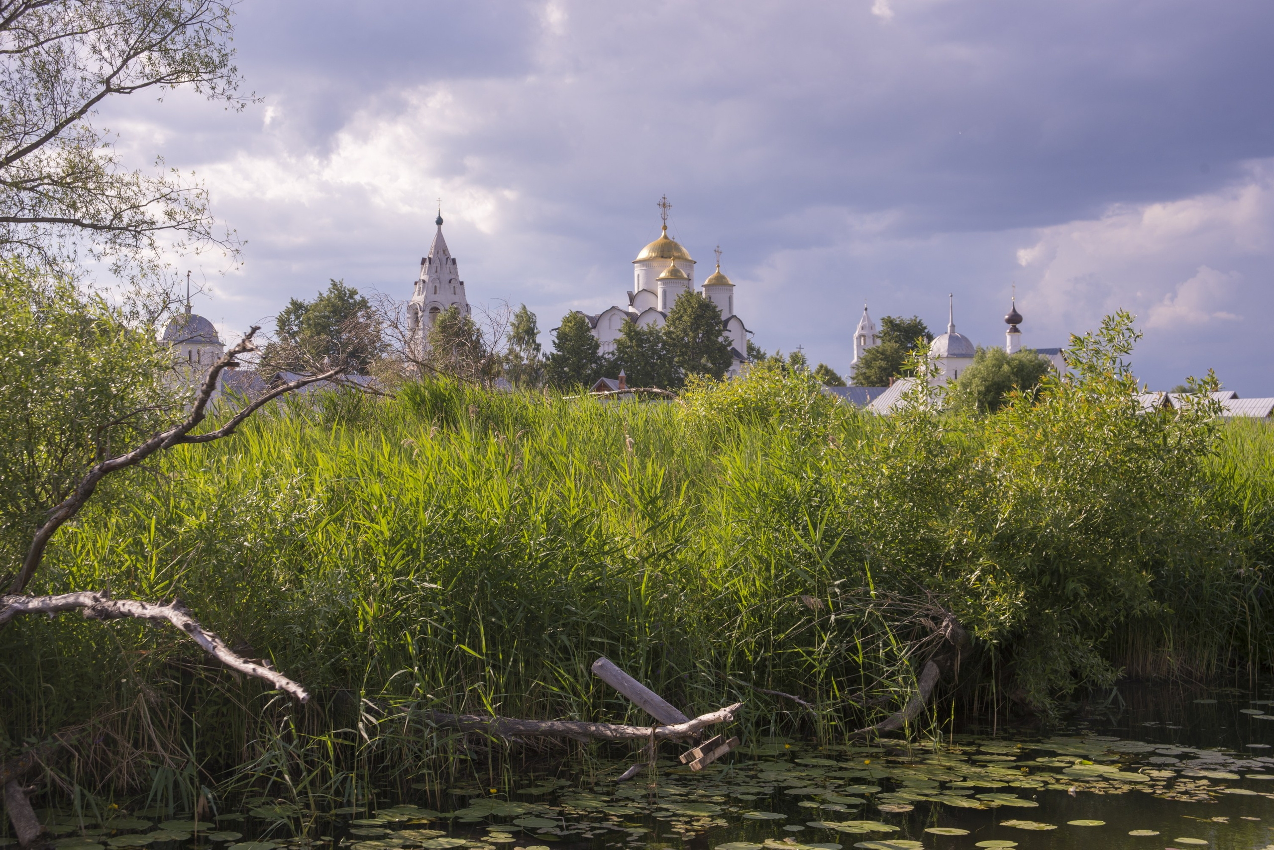 Суздаль. Июнь 2019. Игорь Жучков. Россия увиденная глазами путешествующего фотографа