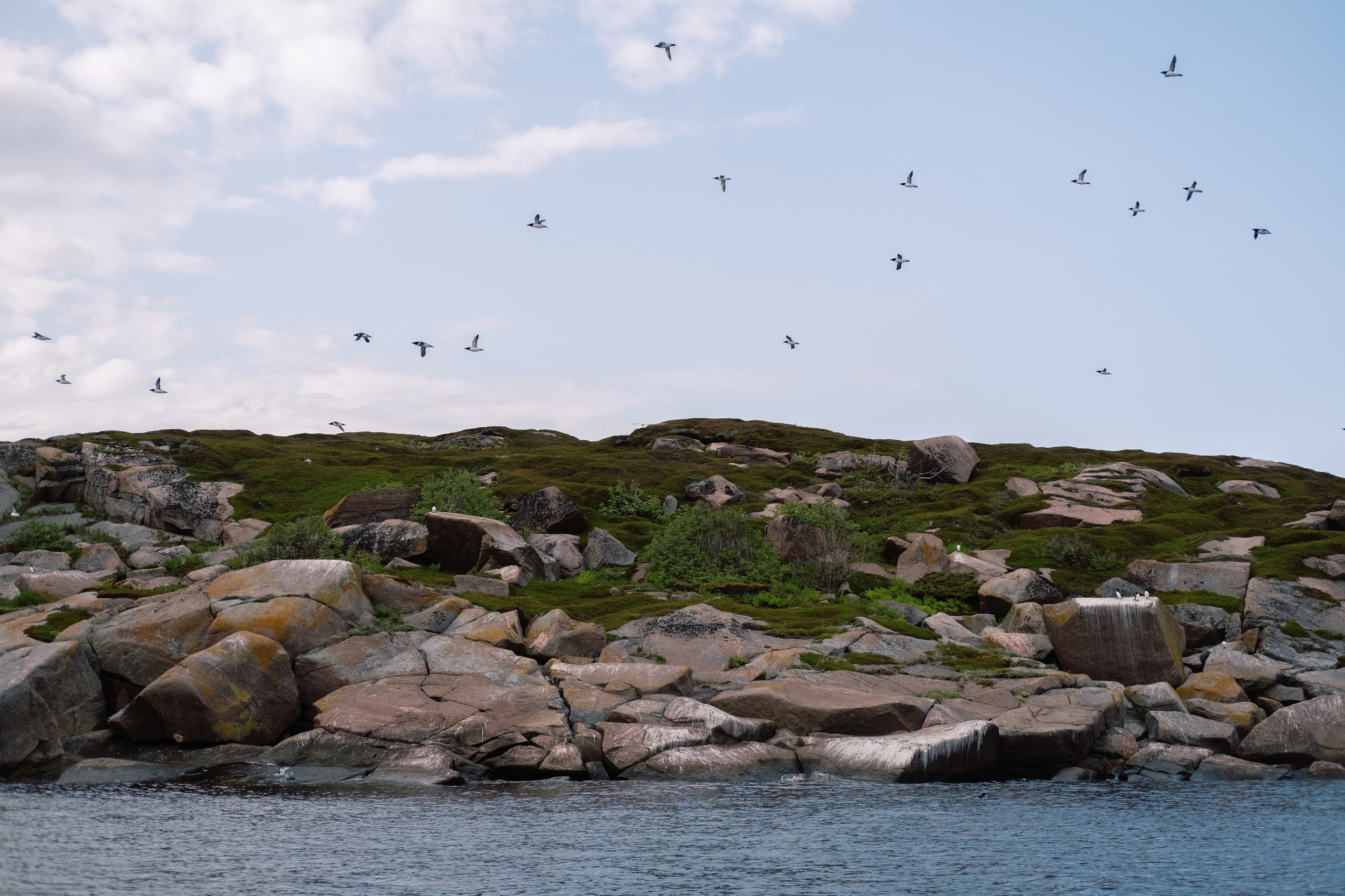 Карелия и Соловецкие острова. Обо мне