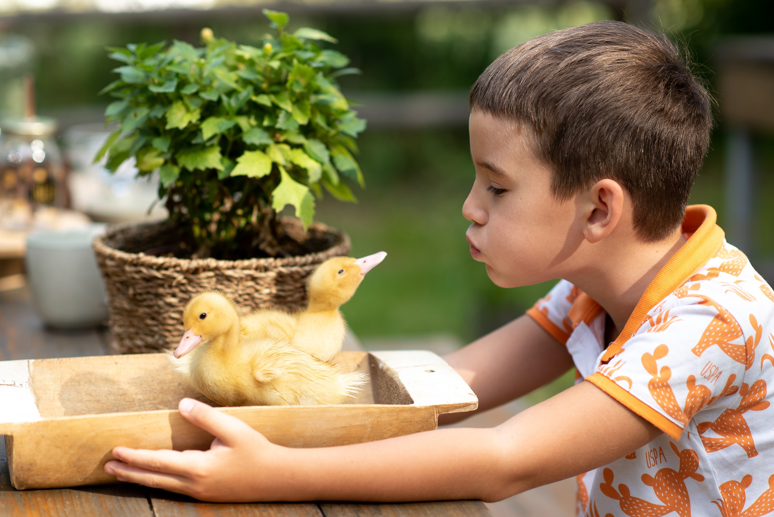 Фотостудия Лес Чудес. Фотограф Мария Усманова, Казань