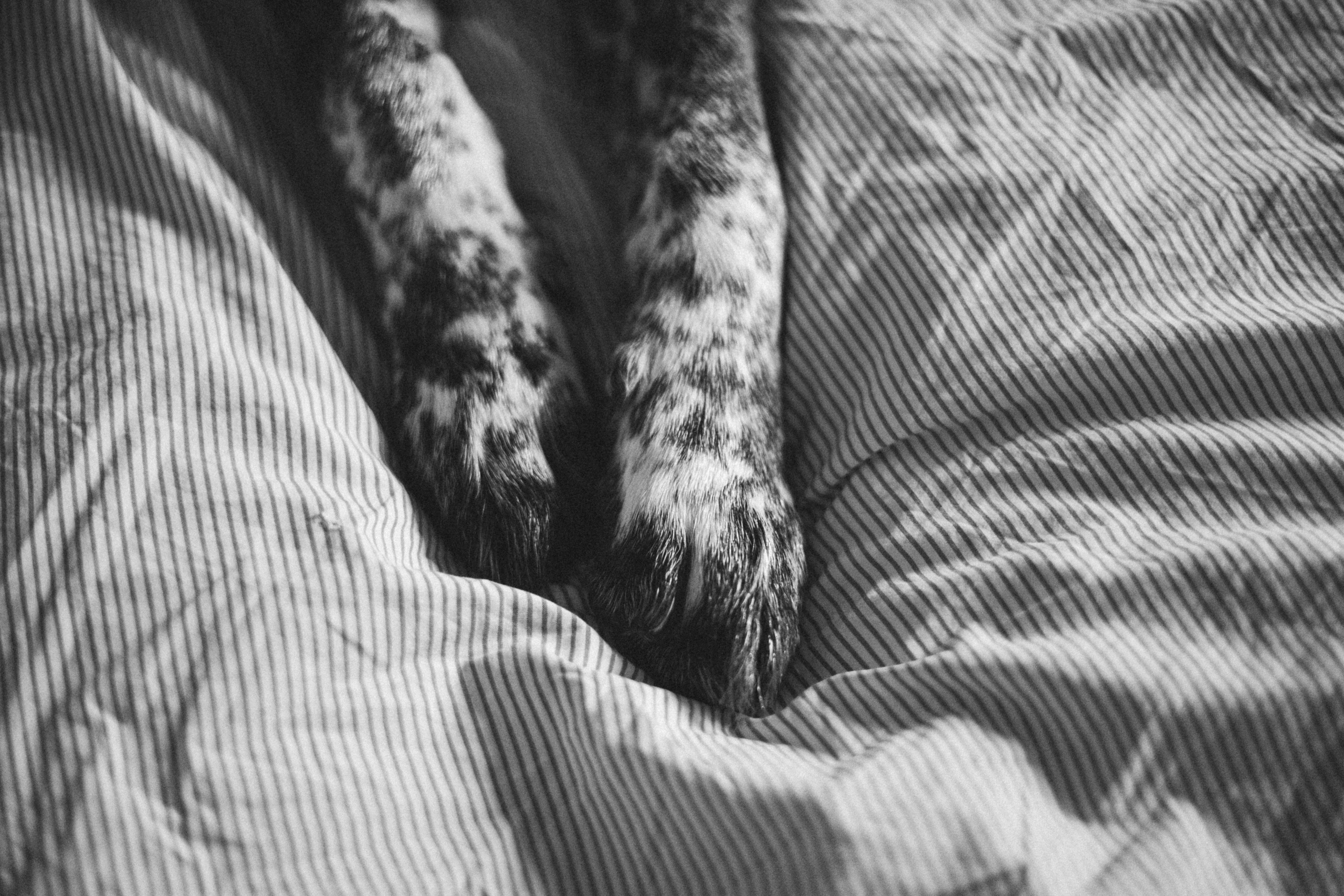 Ира и Морфей. Фотограф Анна Луценко Москва