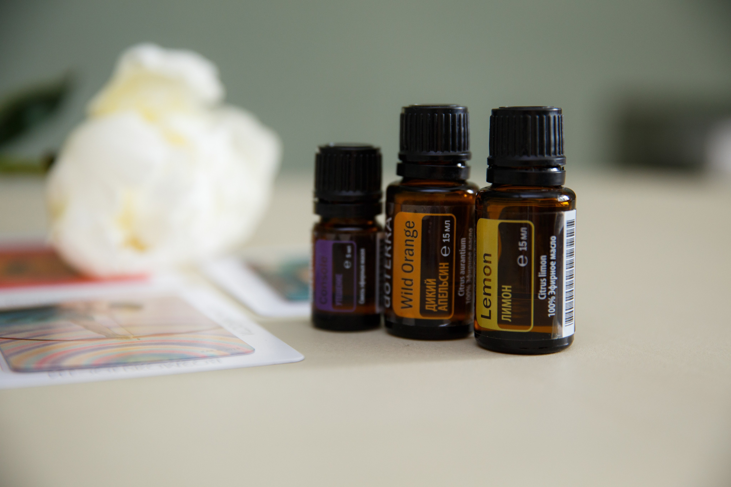 Анна Щеголихина. Врач-остеопат, специалист по ЛФК и восстановительной медицине. Женский и контент фотограф Люба Пунанцева. Северодвинск. Архангельск