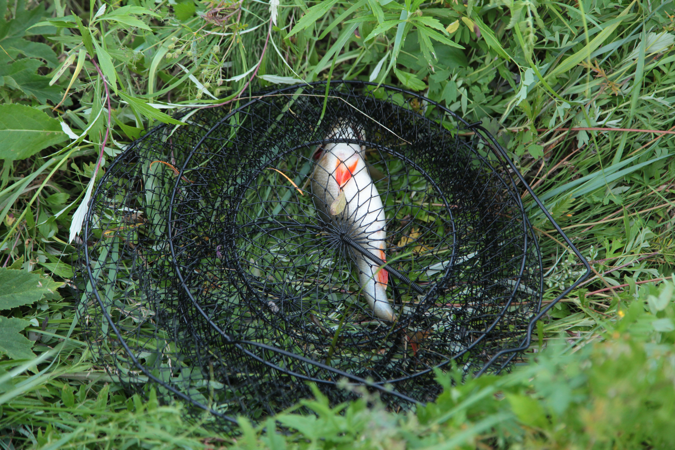 Фото Природы Забайкалья. Студия Максима Белослюдцева