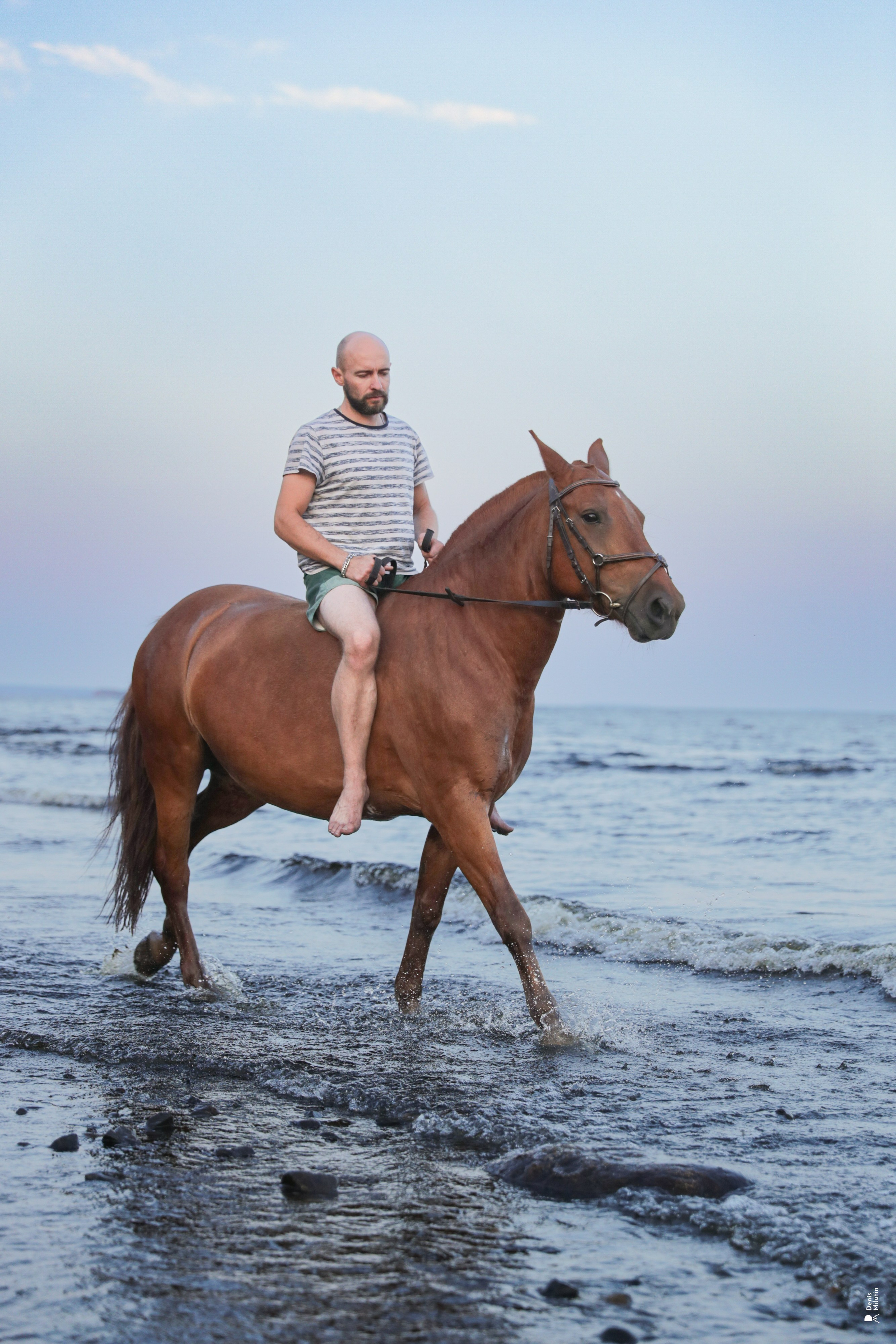 Фото с лошадьми. Портретный фотограф Денис Милютин