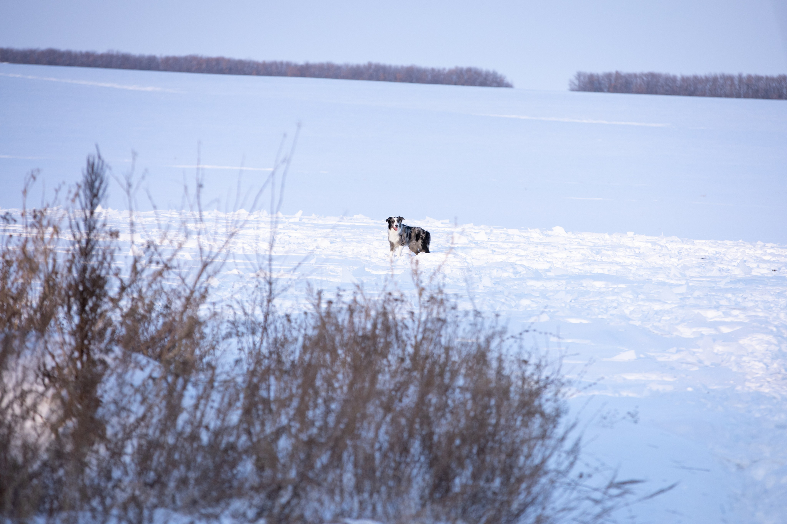 Мороз и солнце. О нас
