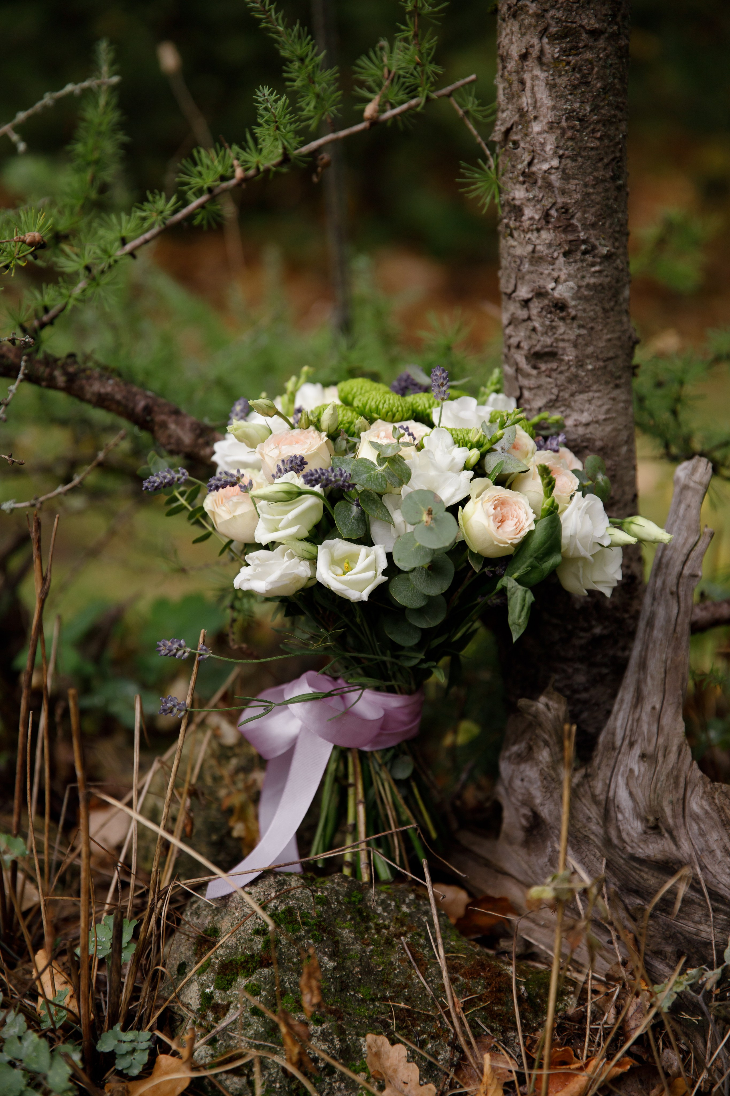 Александра и Вячеслав. Светлана Иванова - профессиональный фотограф