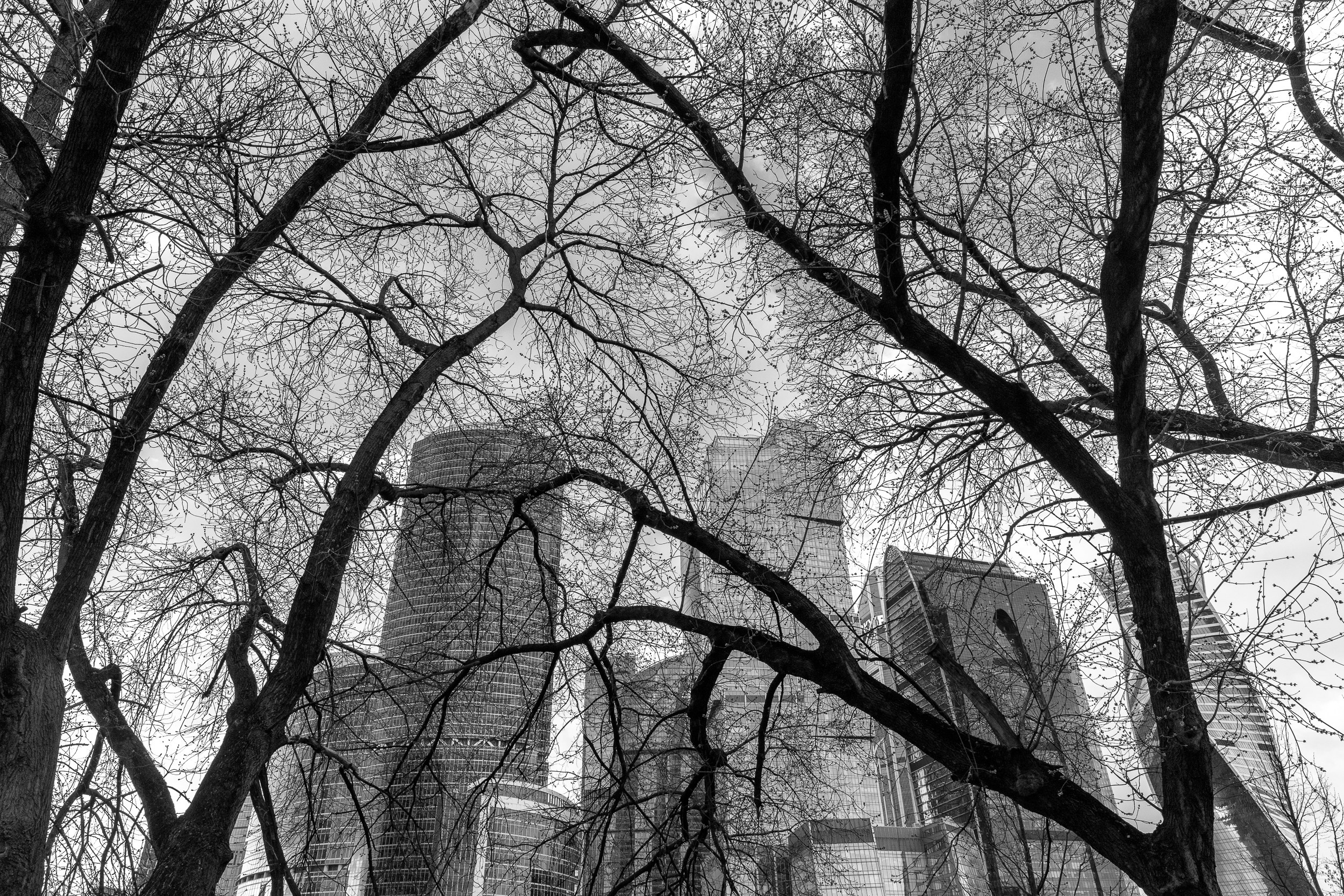 Город. Фотограф в Москве Татьяна Макотра