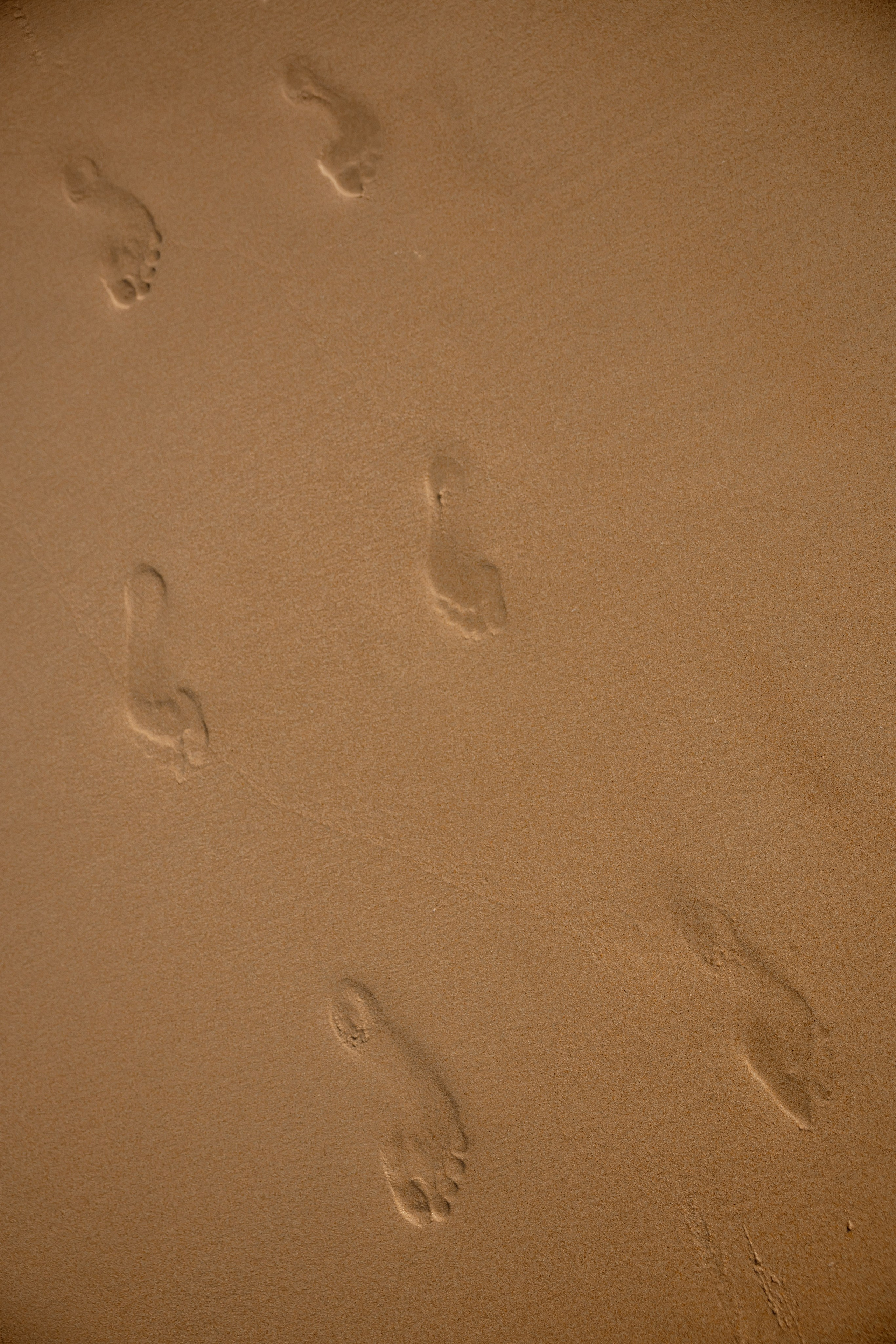 Дамир & Мадина. Свадебный фотограф Костанай/Астана