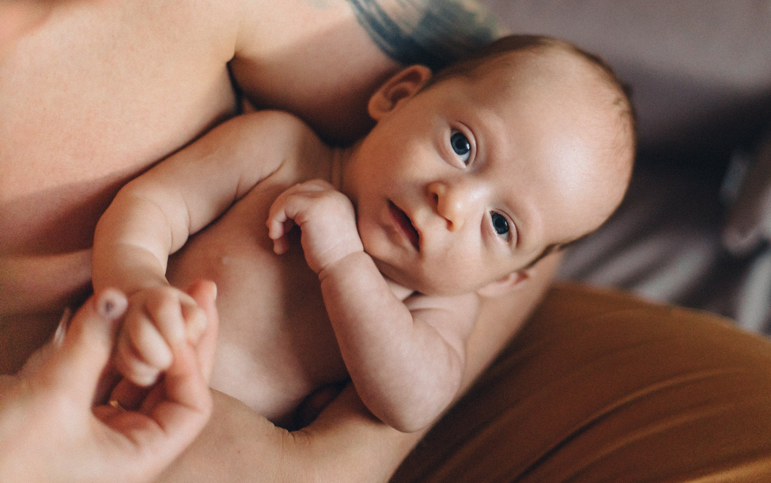 Домашняя. Семейный и портретный фотограф в Новосибирске Мария Хлебус