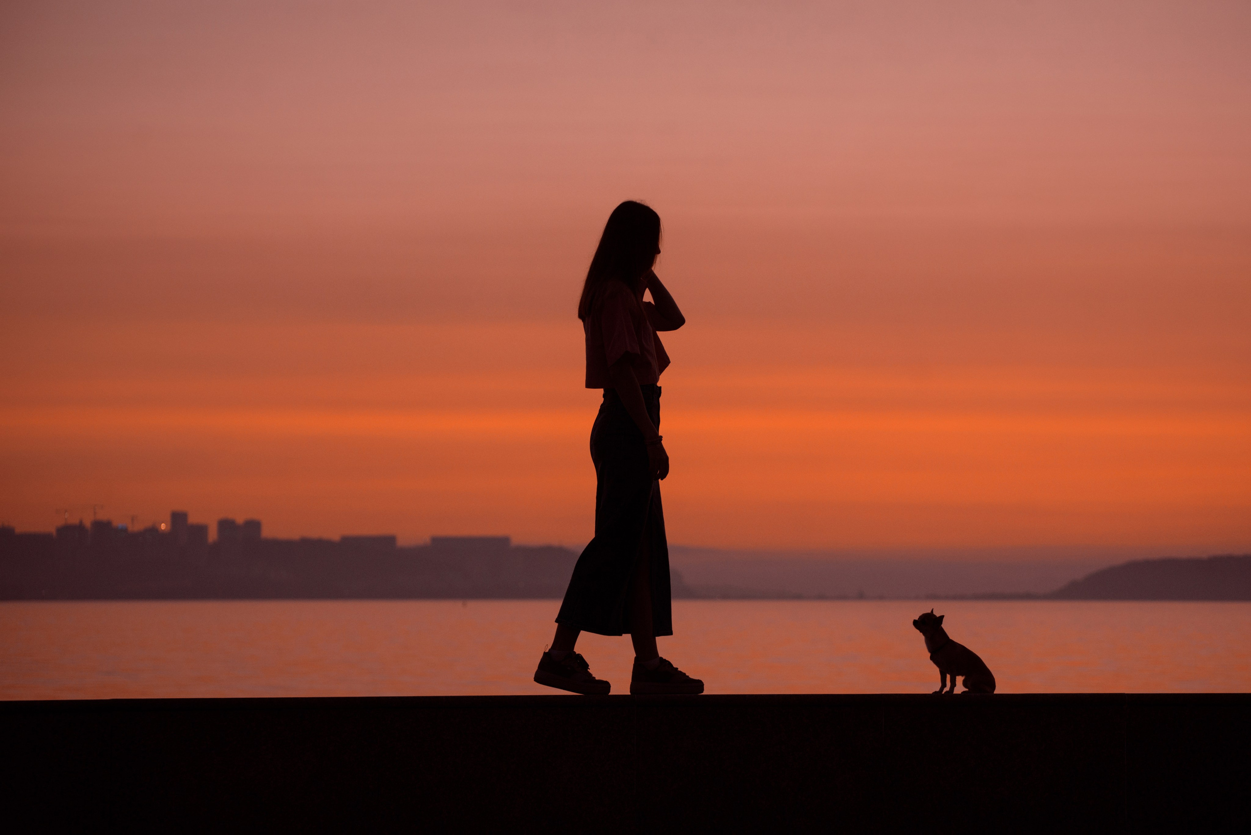 Прогулка: чихуахуа Хенни и Алина во Владивостоке. Портфолио