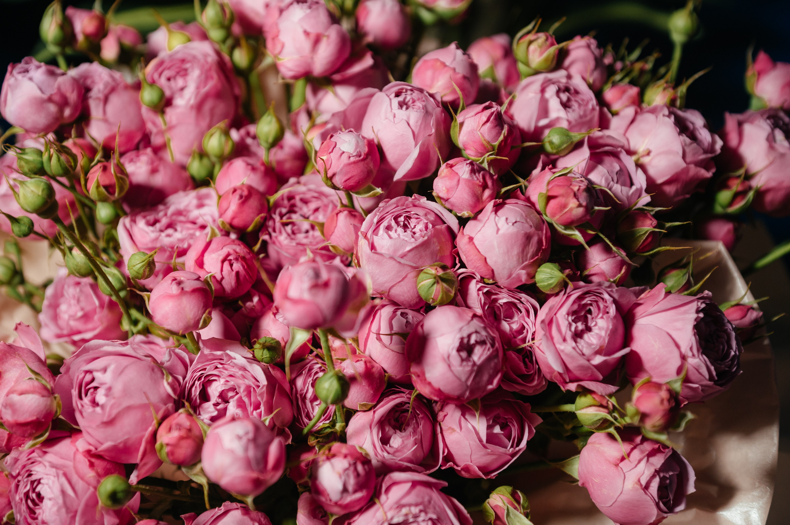 Дни рождения. Сайт фотографа Данилы Пащенко