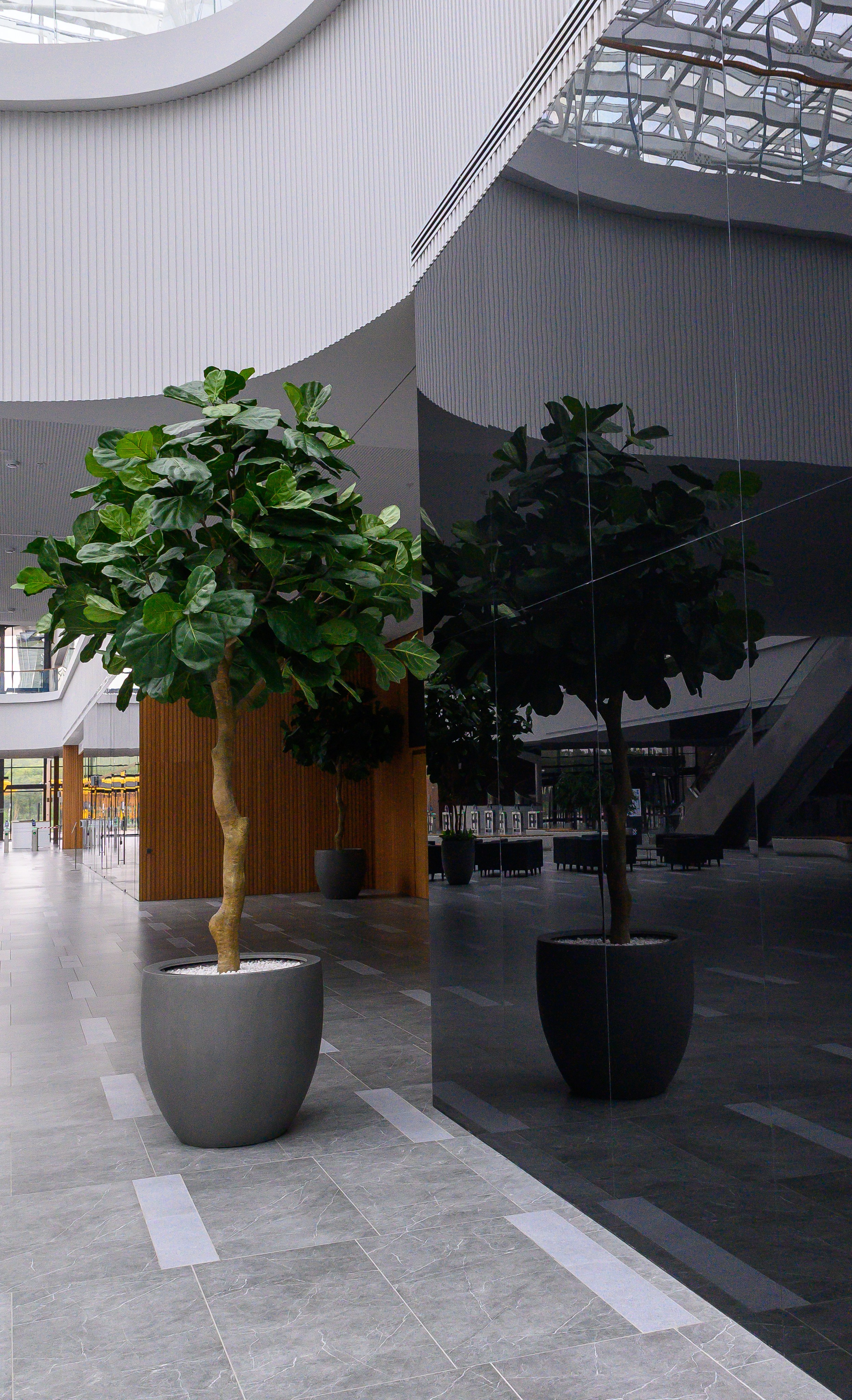 BelExpo. Фотоуслуги, услуги фотографа, фотографирование важных событий