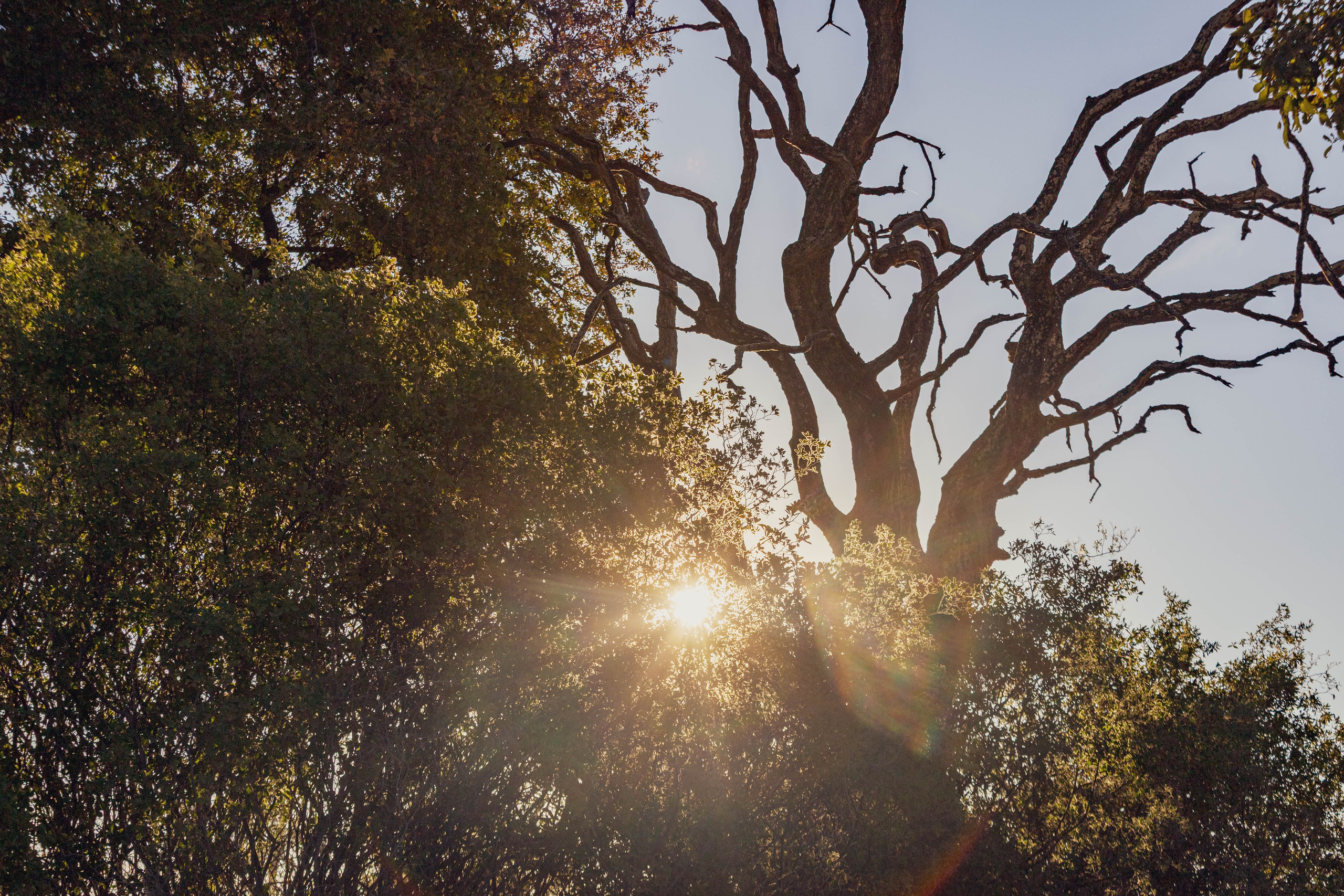 Южная Африка. B612