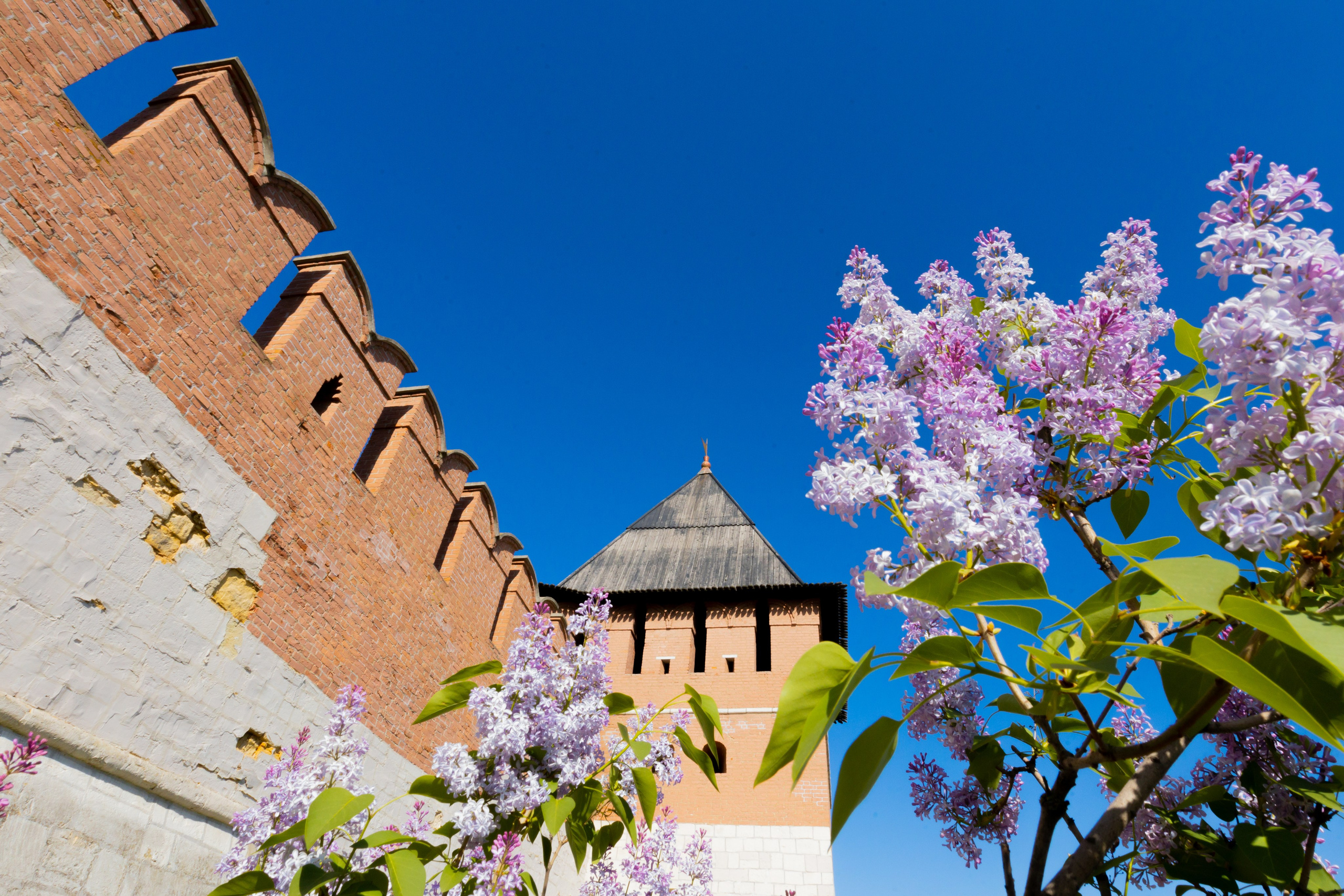 Весеннее цветение в Туле. Фотограф в Туле Крупский АнДРей. Фотостудия «КАДР71» в Туле