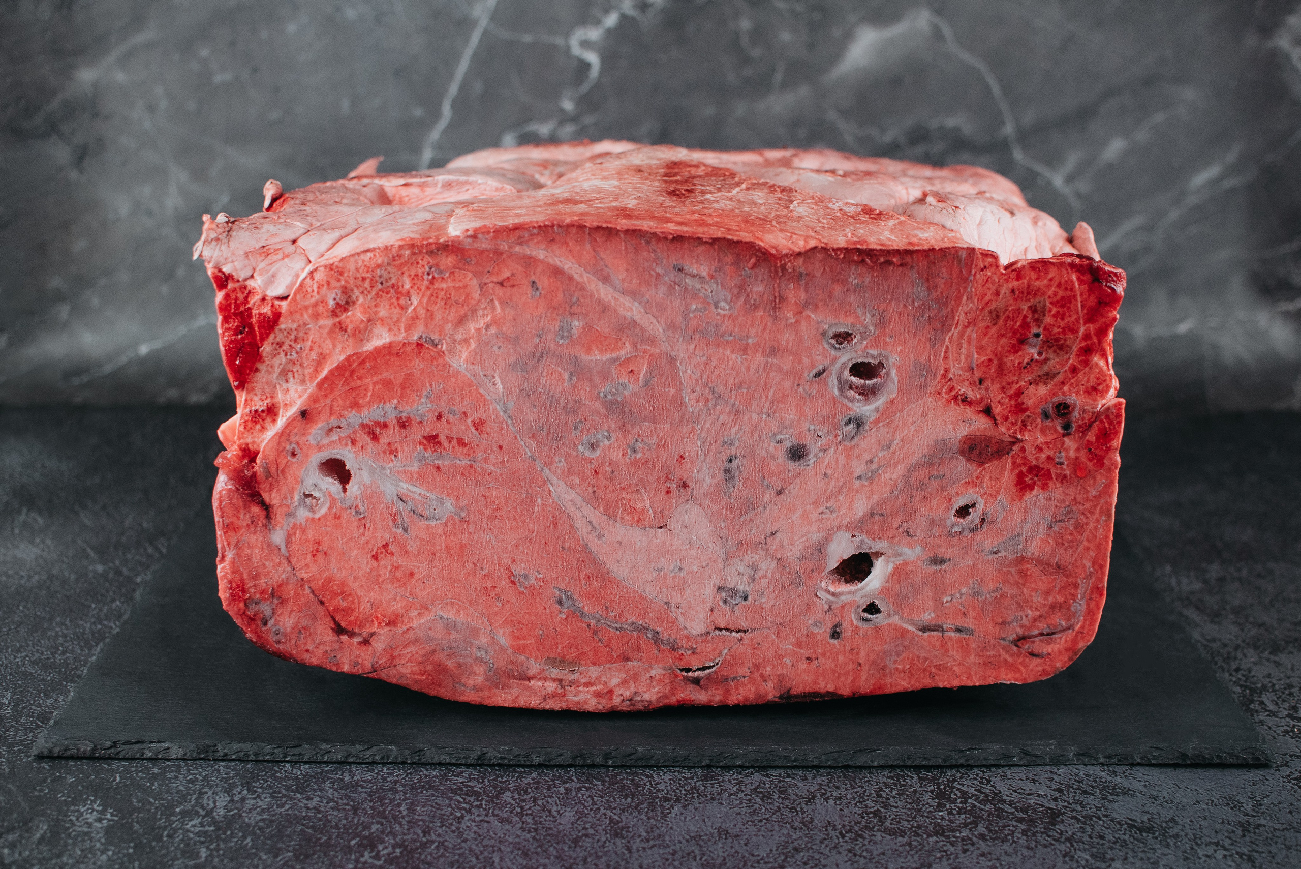 Dog Bone лакомства. Фотограф-анималист Валерия, Москва, Мытищи