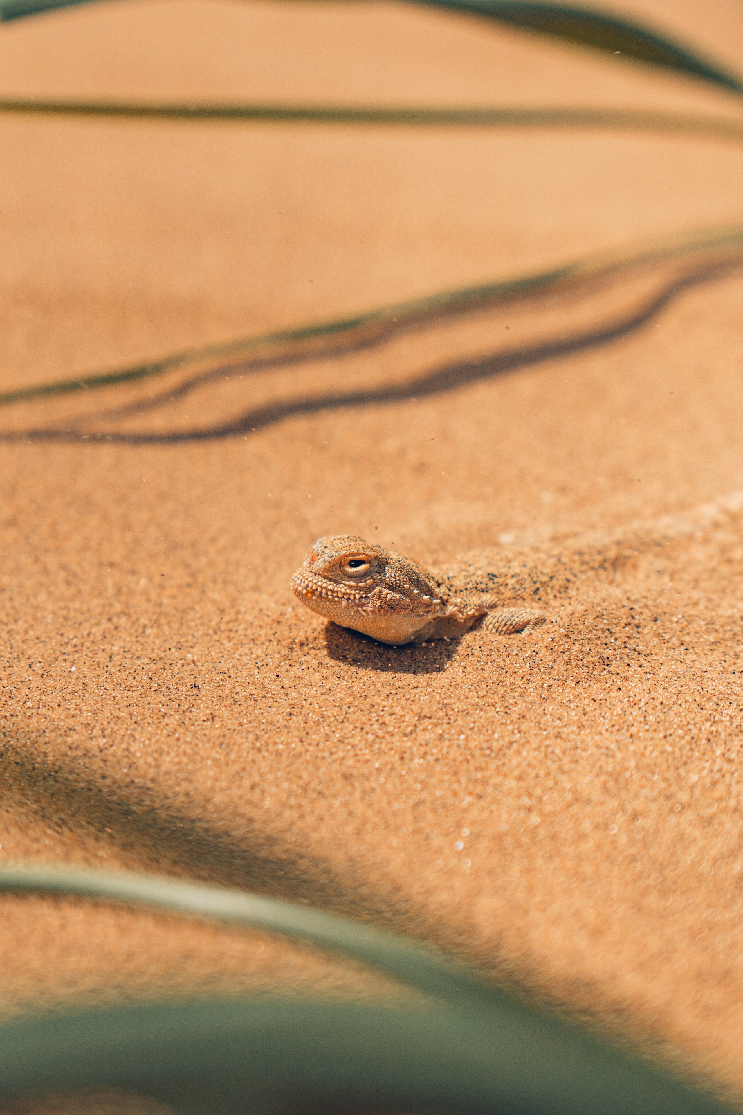 Дагестан. Gusarov Travel Photography