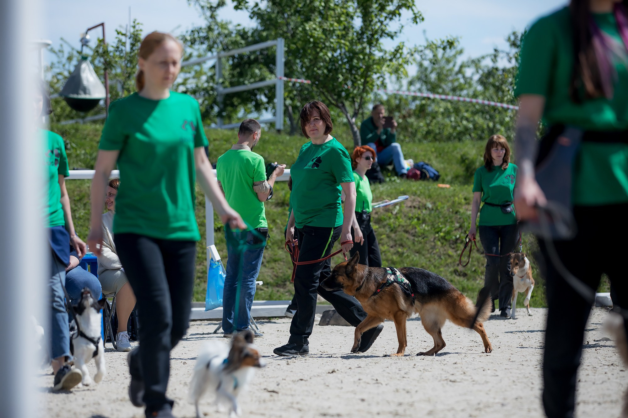 Показательные выступления по NoseWork на выставке «Россия». Фотограф-анималист Mary Mart — Москва, Питер