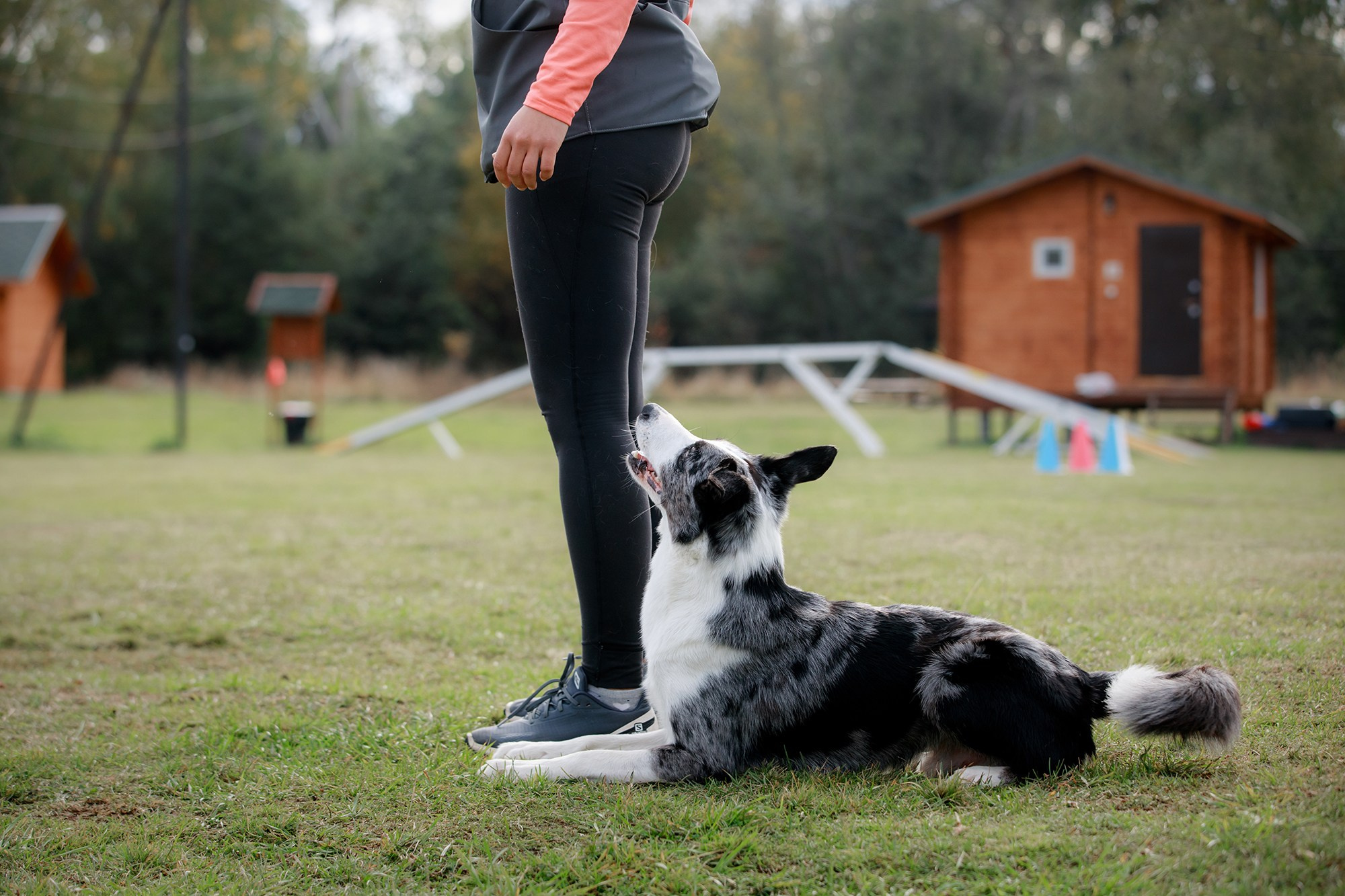 Лагерь по ОБД с Инной Баженовой. Фотограф-анималист Mary Mart — Москва, Питер