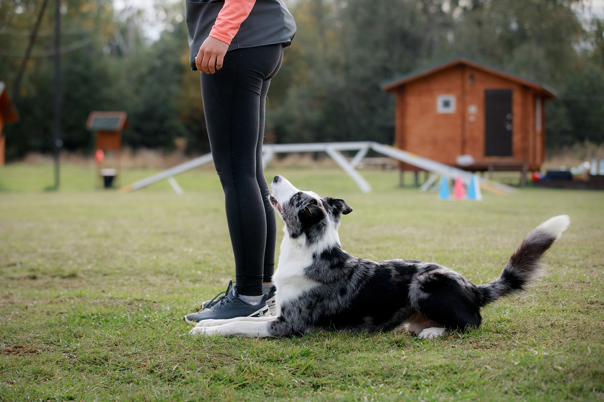 Лагерь по ОБД с Инной Баженовой. Фотограф-анималист Mary Mart — Москва, Питер