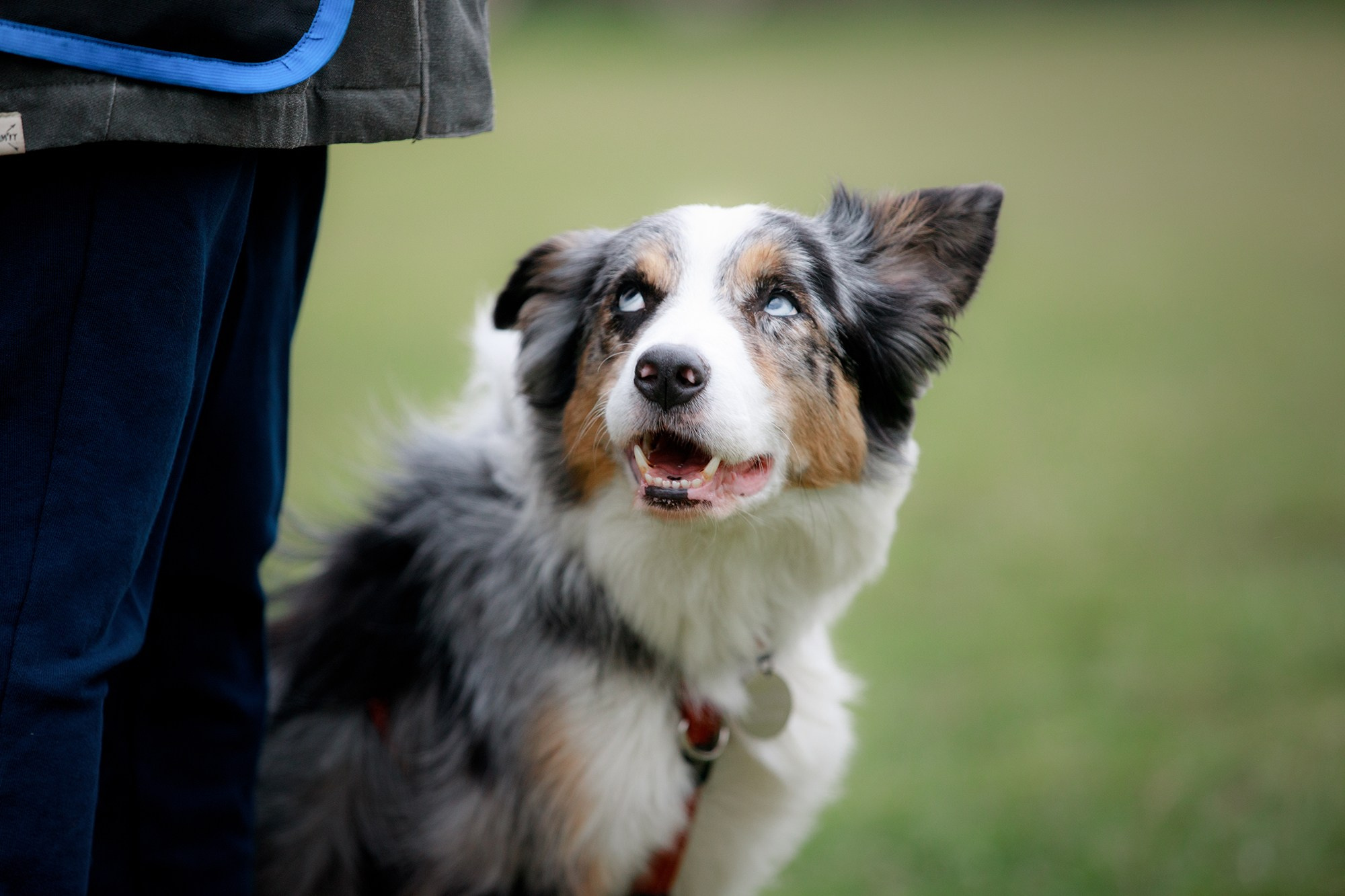 Лагерь по ОБД с Инной Баженовой. Фотограф-анималист Mary Mart — Москва, Питер