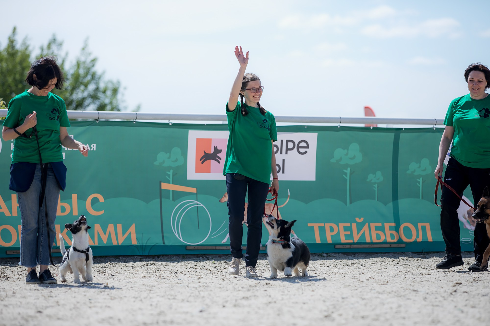 Показательные выступления по NoseWork на выставке «Россия». Фотограф-анималист Mary Mart — Москва, Питер