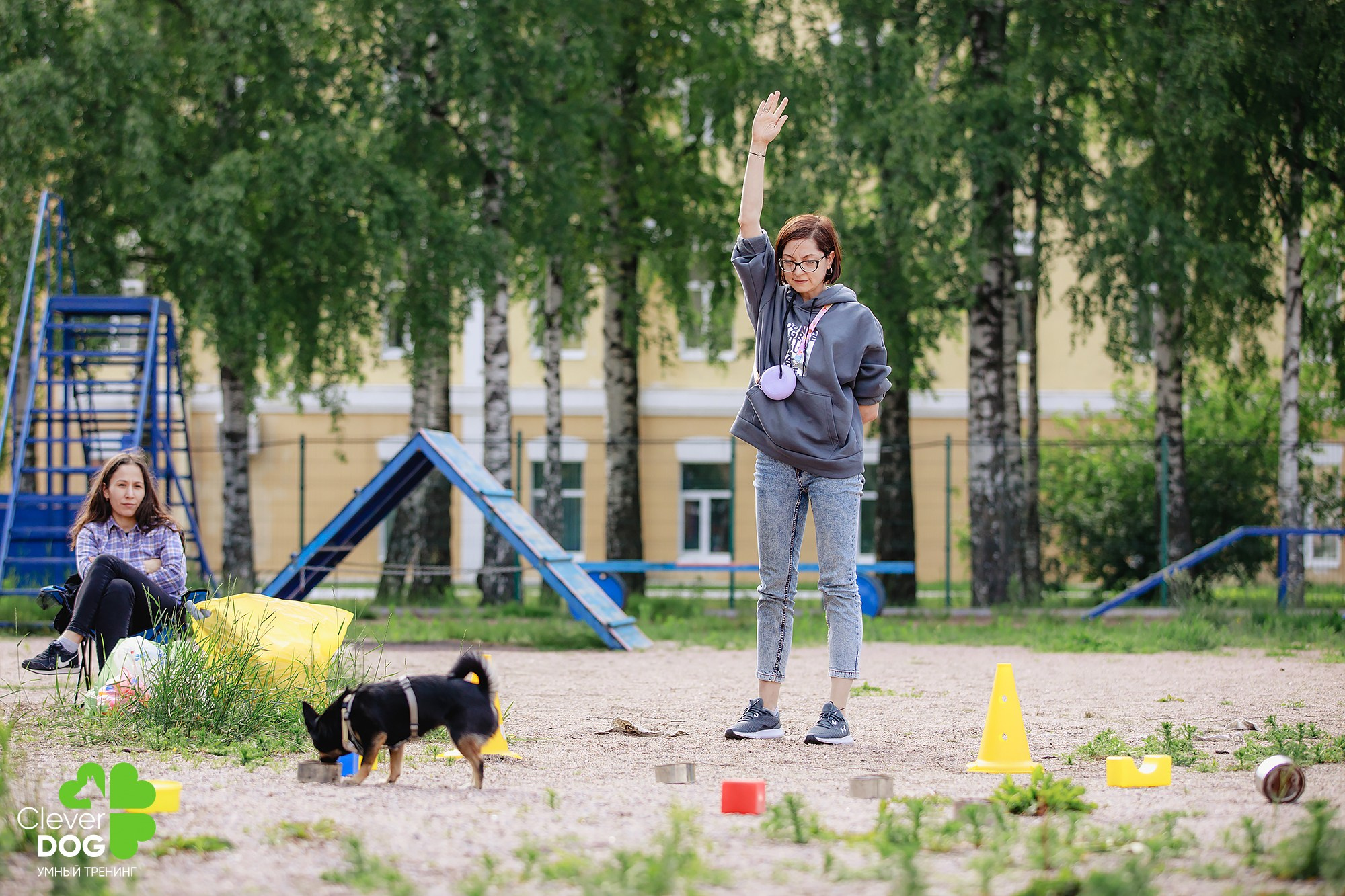 Семинар по поиску запаха с Иваном Ломовым, организатор CleverDog, СПб. Фотограф-анималист Mary Mart — Москва, Питер