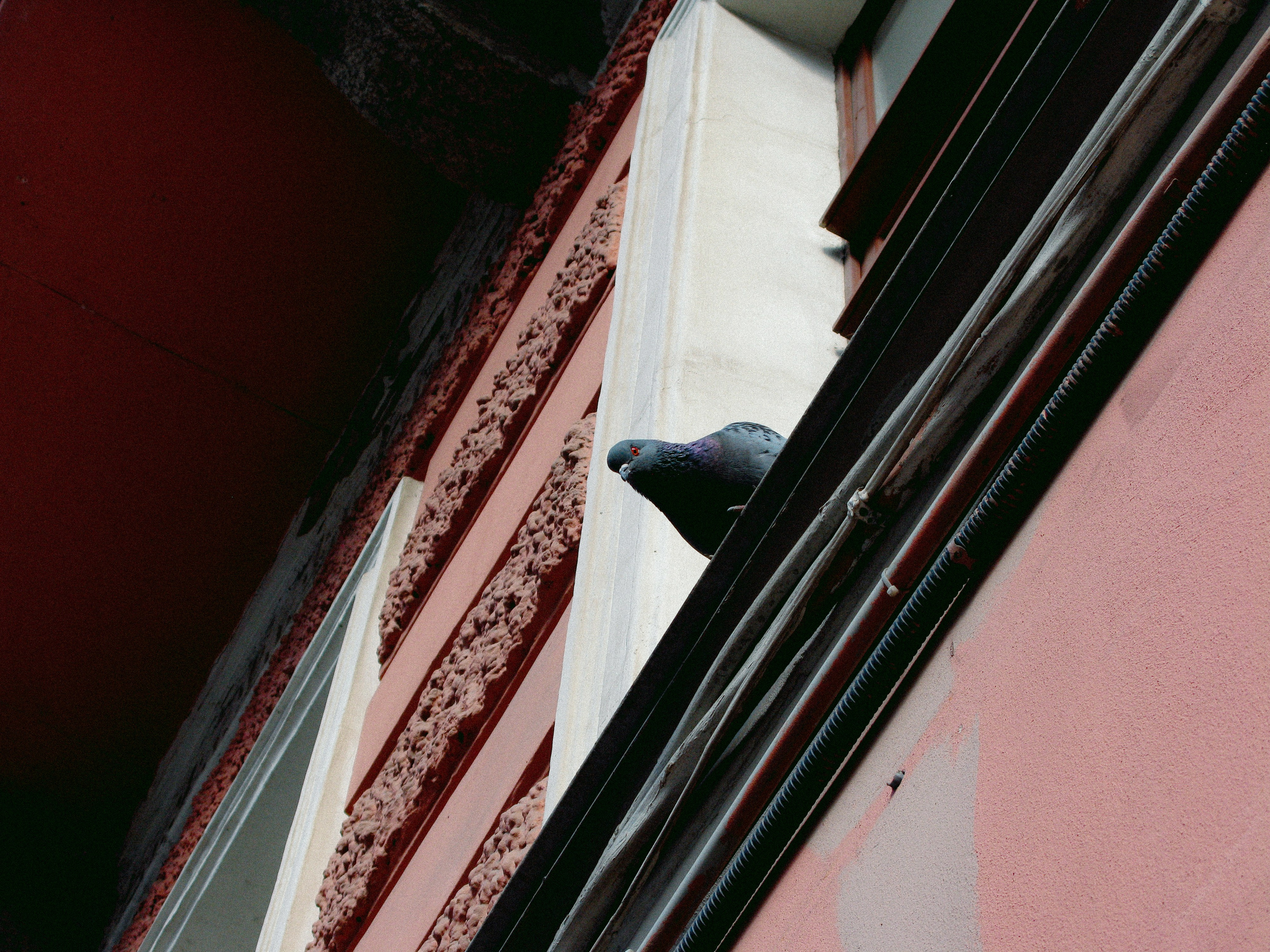 Mar. Фотограф Миланазавр