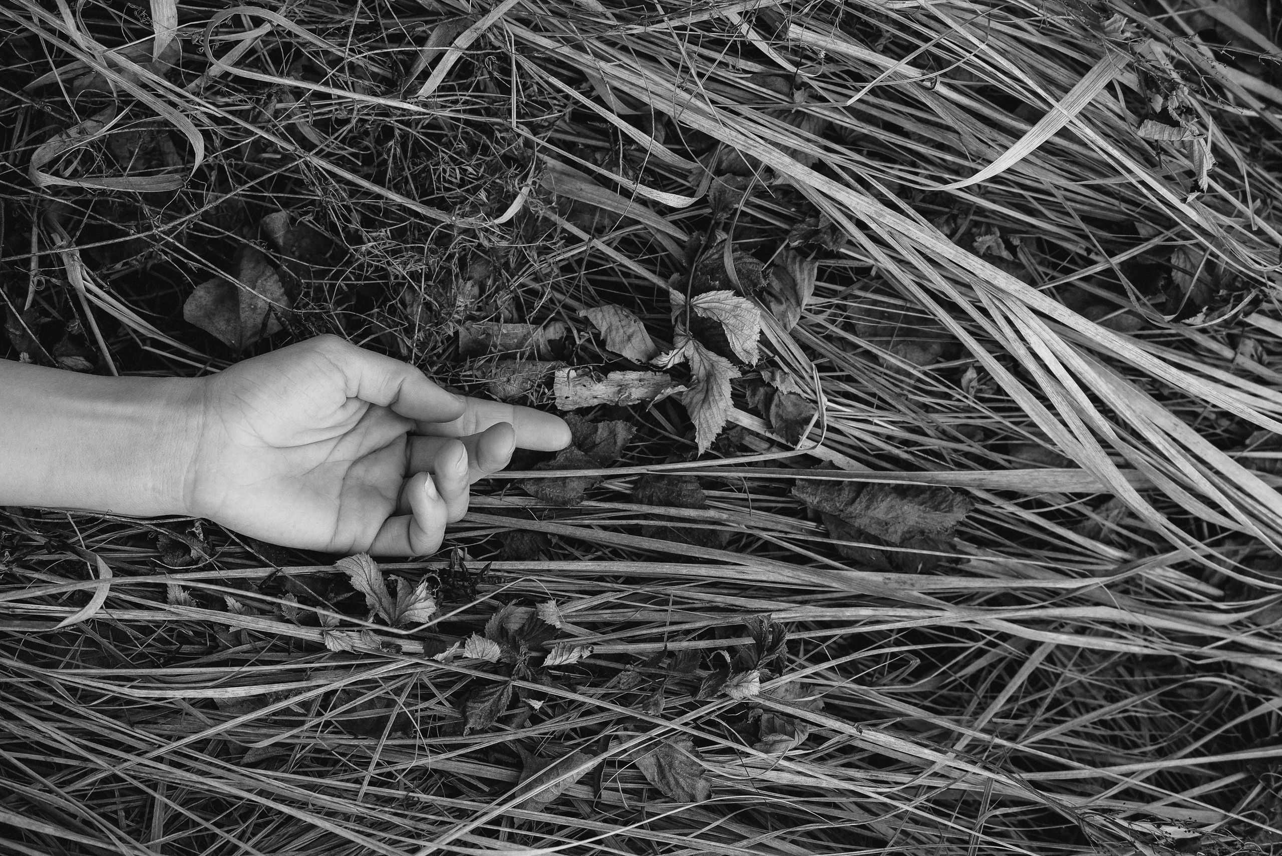 Фотосессия для Кати. Фотограф Анна Герман. Красноярск