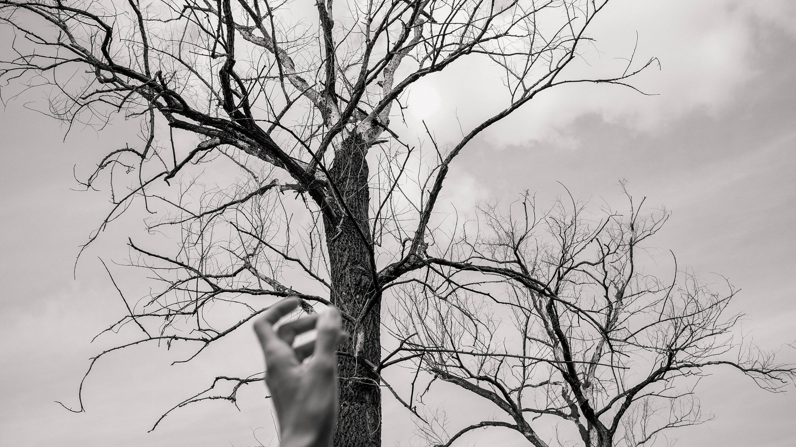 Прогулочная фотосессия для Греты. Фотограф Анна Герман. Красноярск