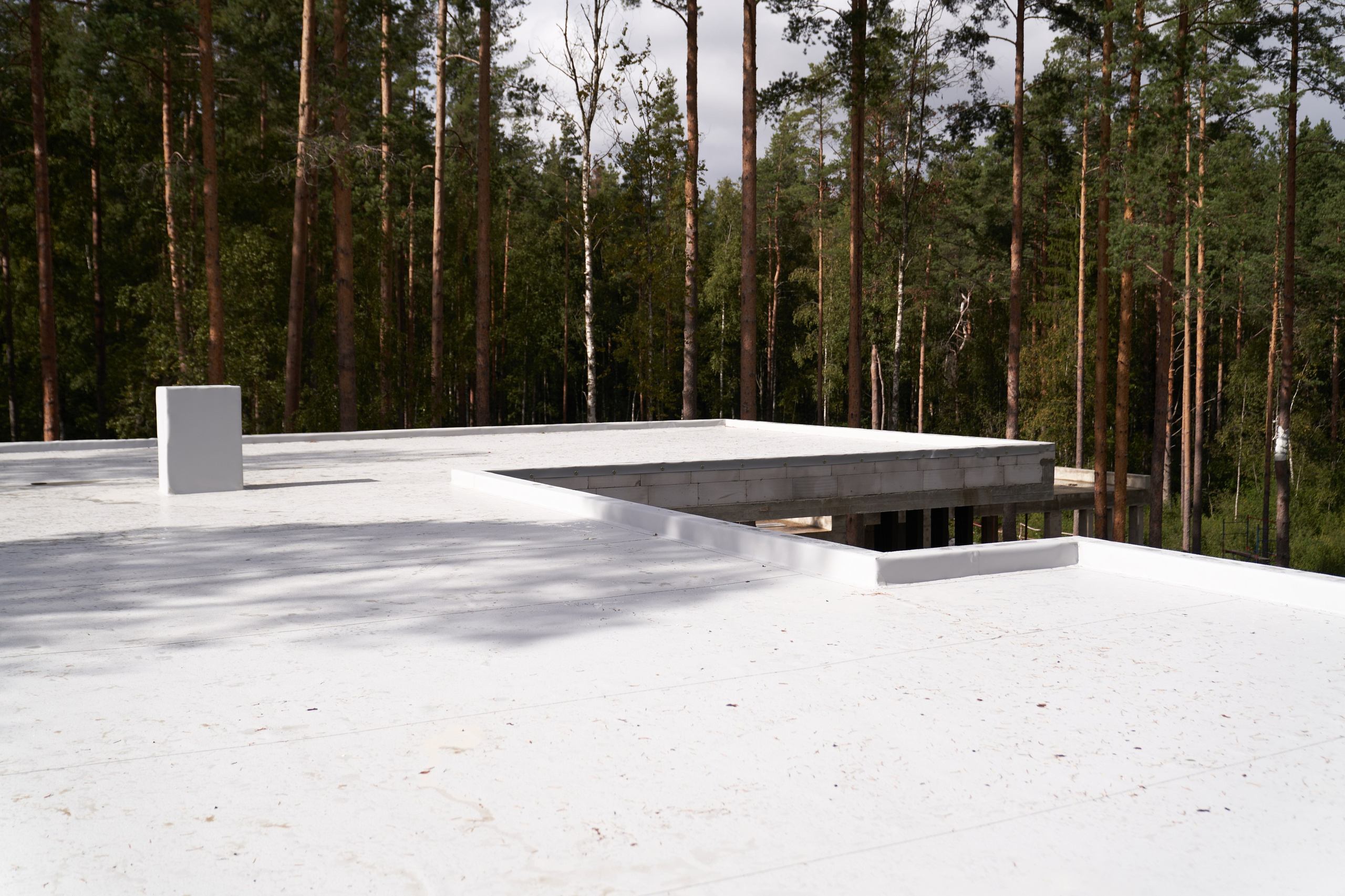 Объект «Репино парк». Сергей Горшенин — профессиональный фотограф