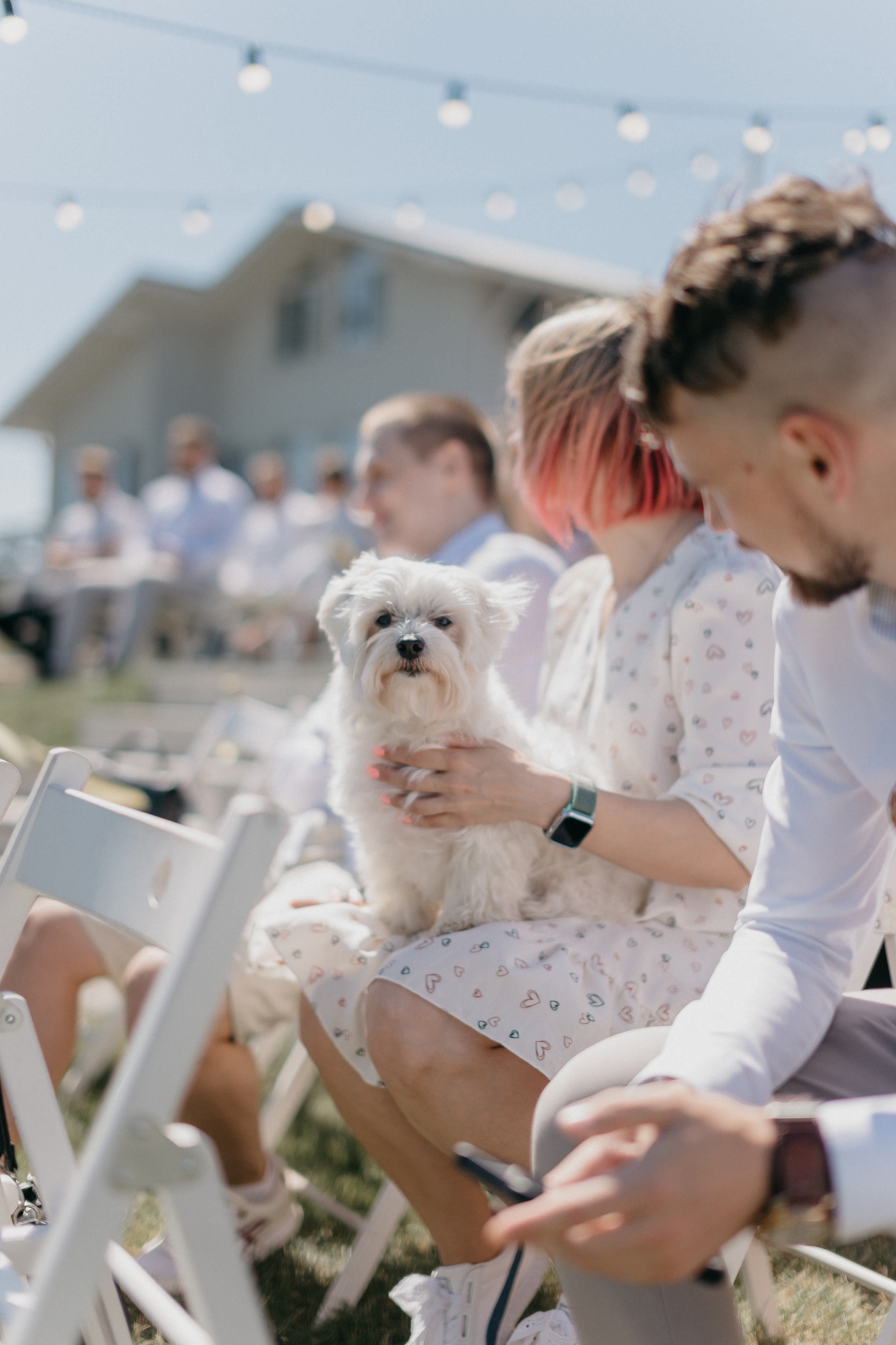 ANDREY & NASTYA. Свадебный и семейный фотограф Барановичи Кристина Глазунова Кобрин