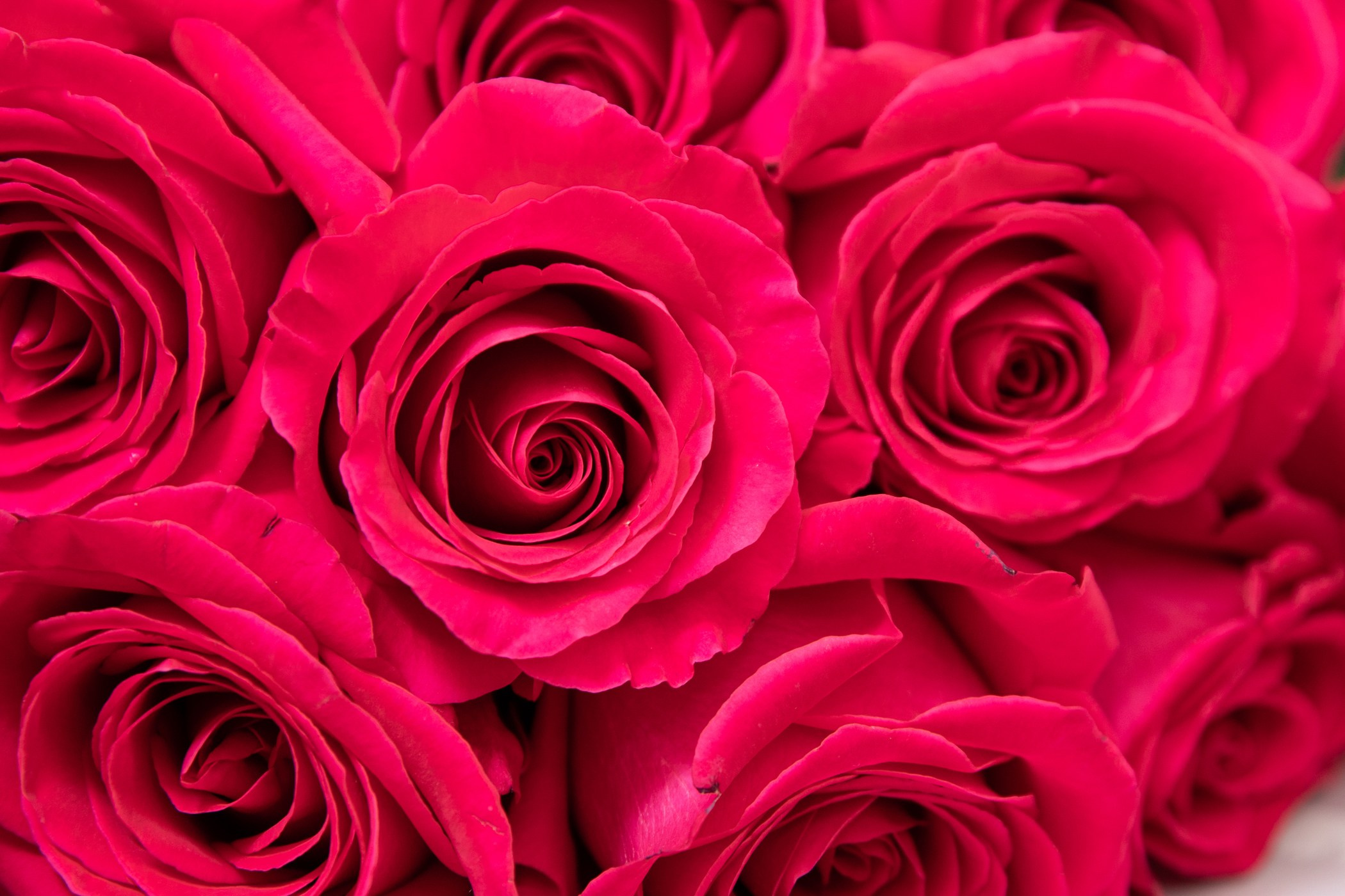 Свадьба Георгия и Евгении. Студия Максима Белослюдцева