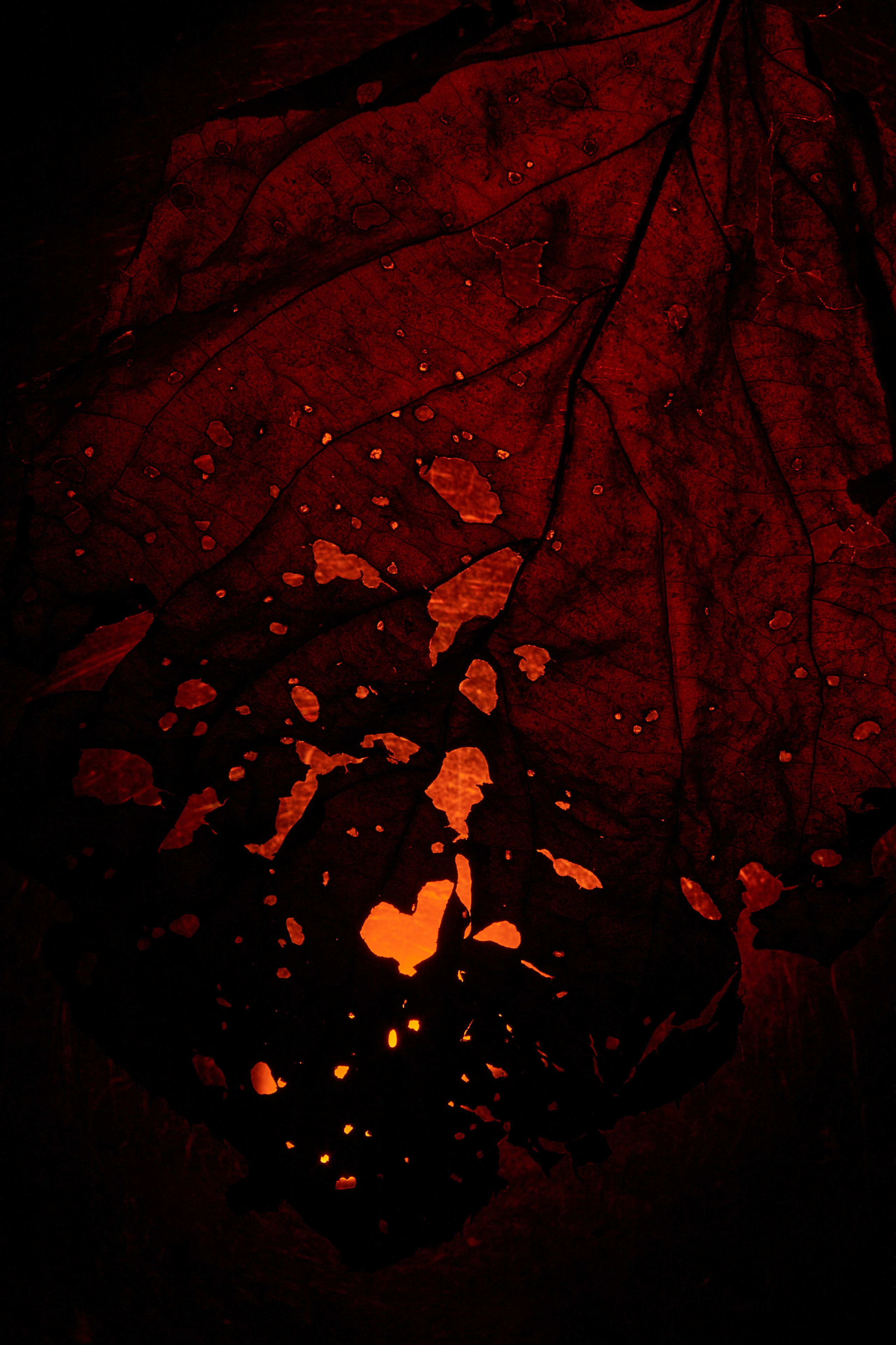 «Красок Тьма Полна». Арт-фотограф во Владивостоке Дмитрий Осипчук