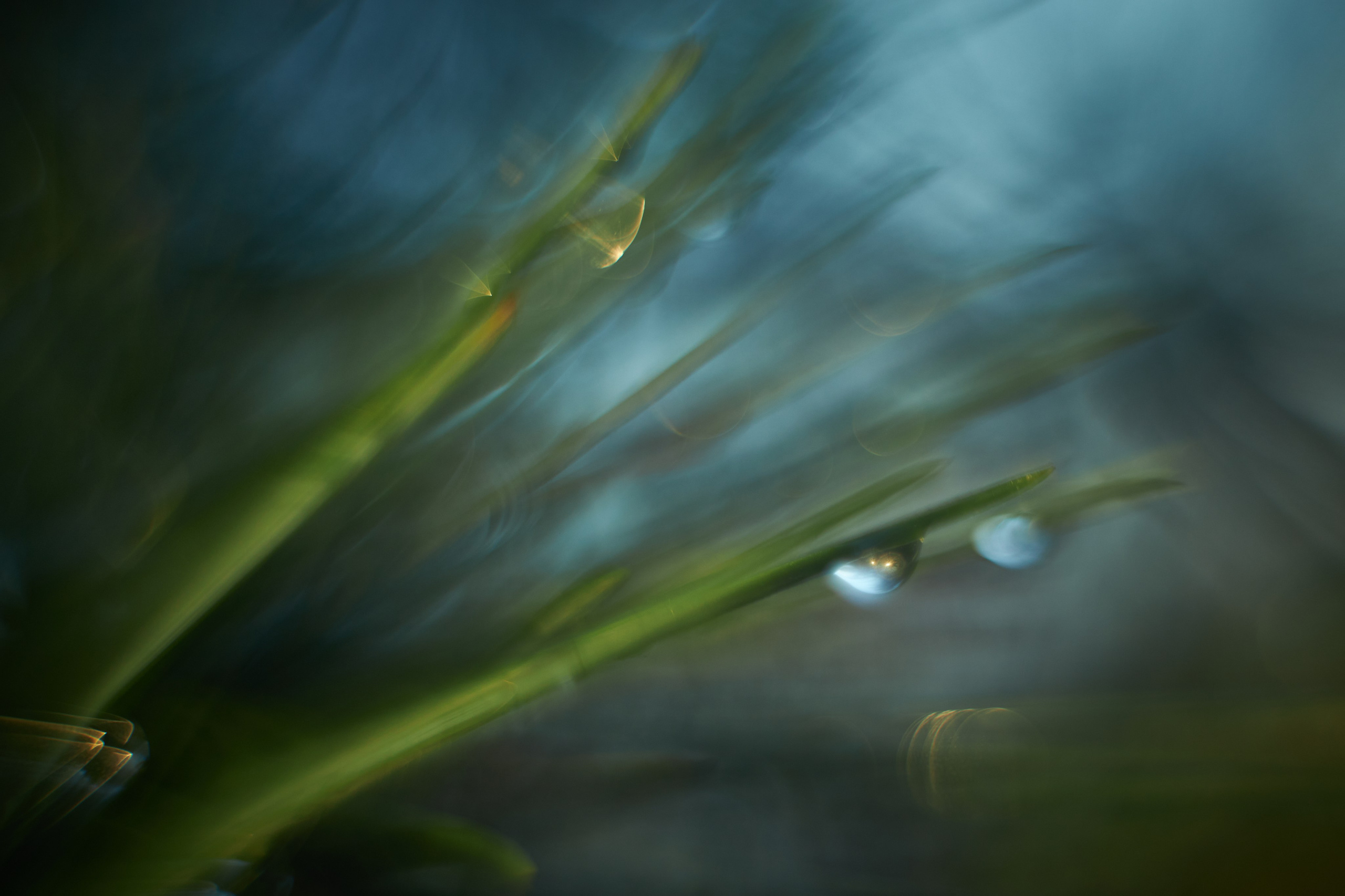 Арт-фотограф во Владивостоке Дмитрий Осипчук