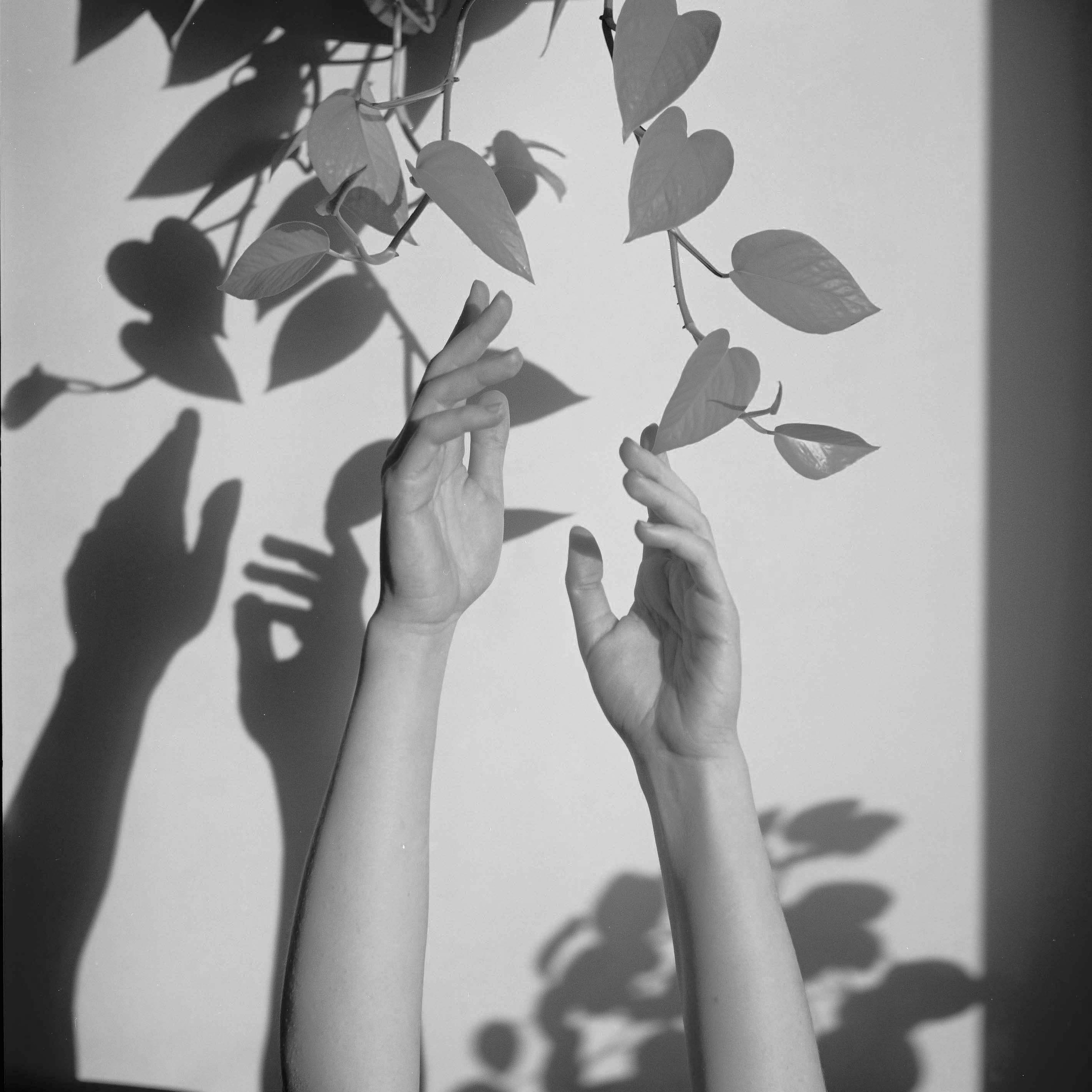 Юля Германович | Сад. Private image