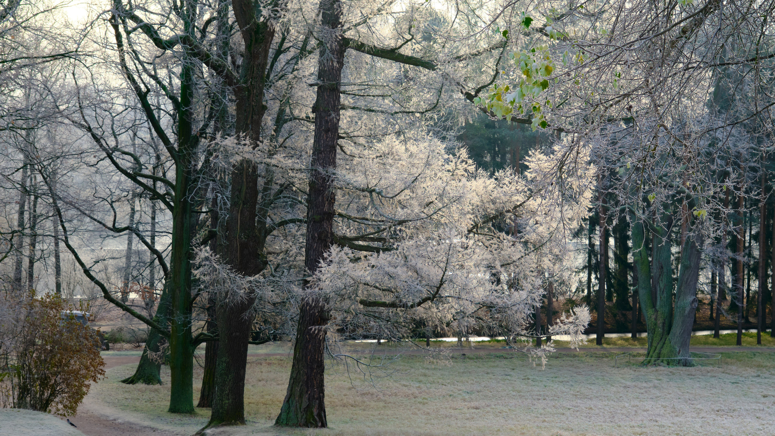 Времена года. Пейзажи Крайнего Севера. Баренцево море, Рыбачий, Средний, Немецкий