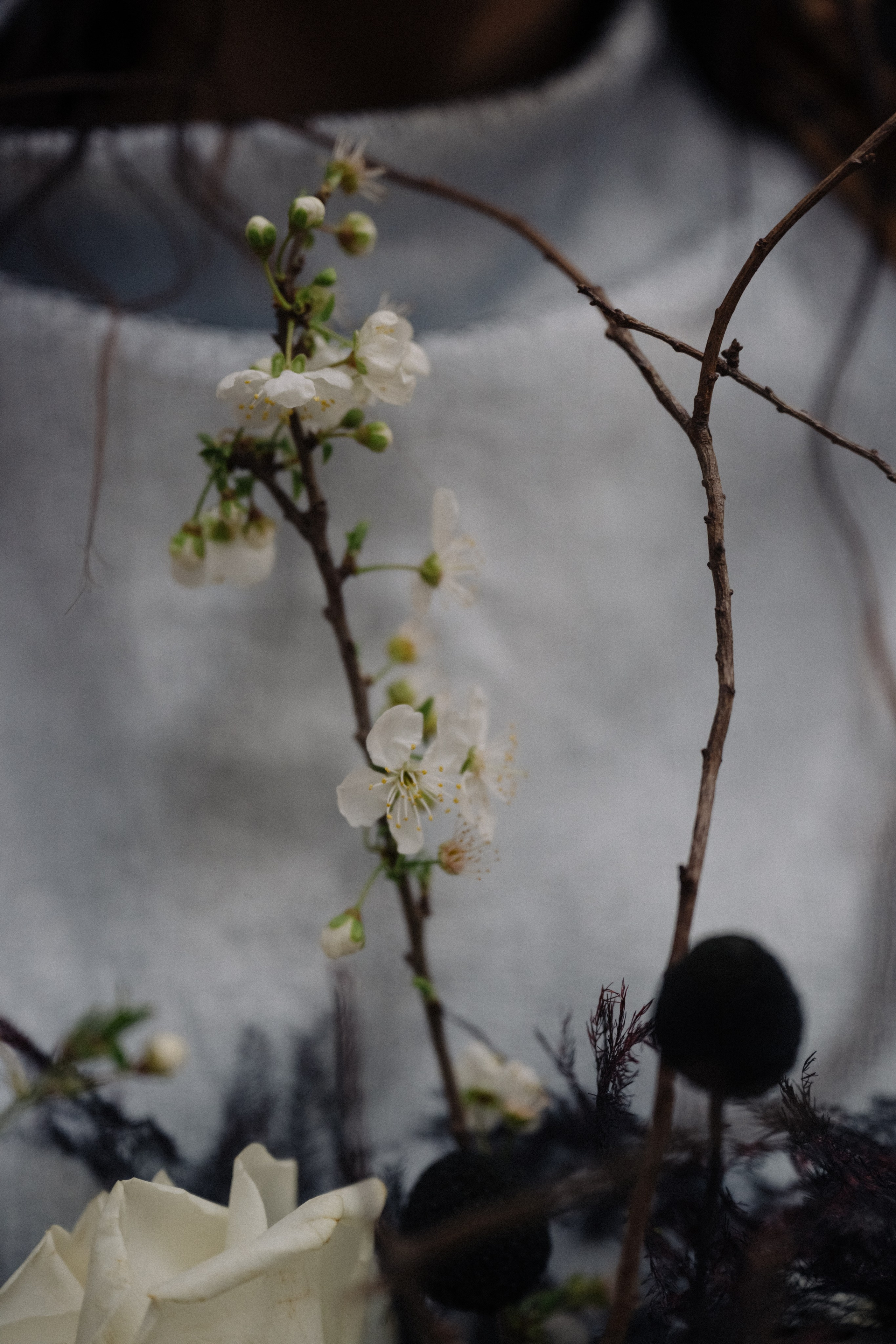 Туги и Сальма. Свадебный фотограф МОСКВА, КРЫМ, СМОЛЕНСК АЛЯ КОНОВАЛОВА