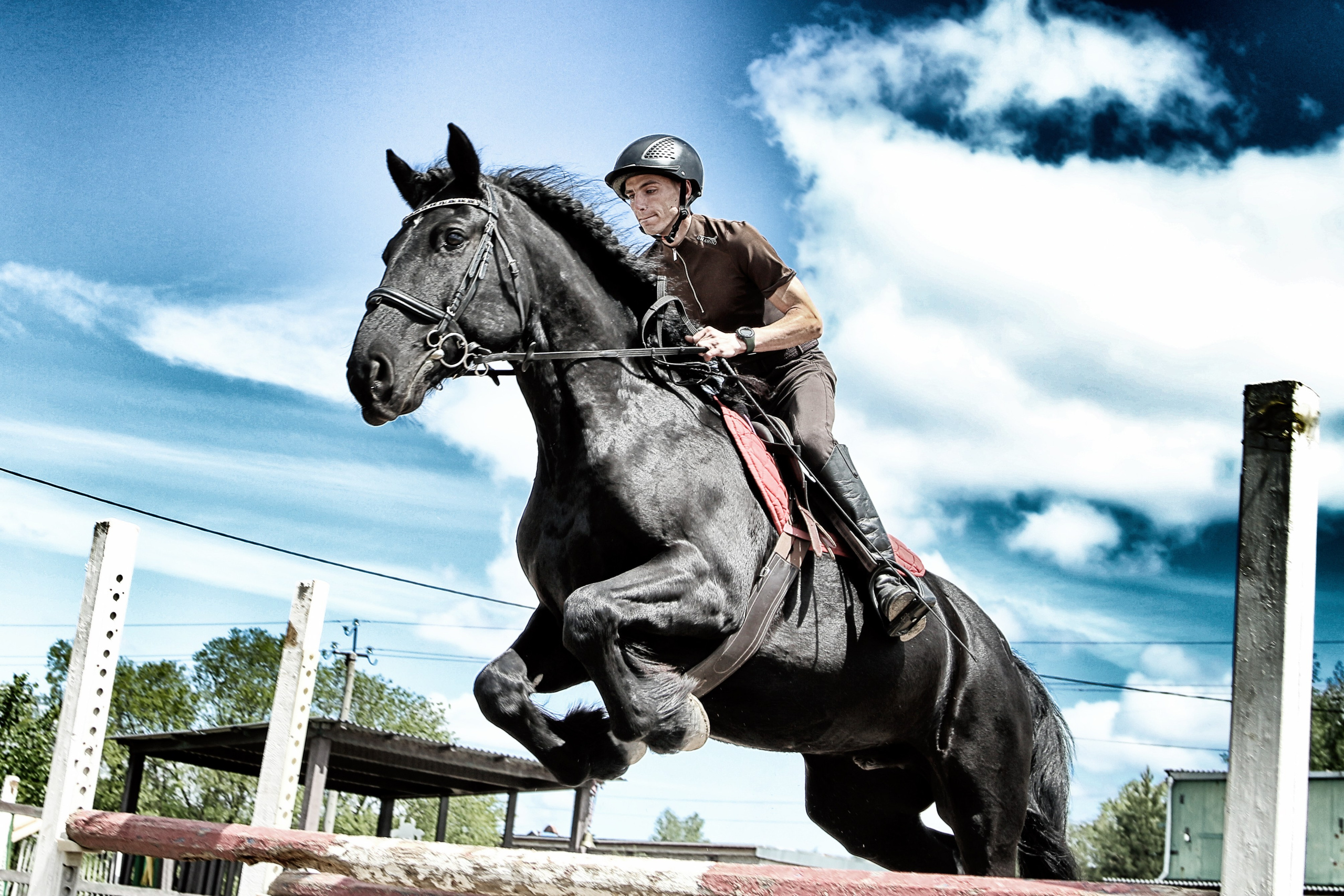 Лошади «Каскад» и «Брилиант». Алиса Томшина — Фотограф / Видеограф