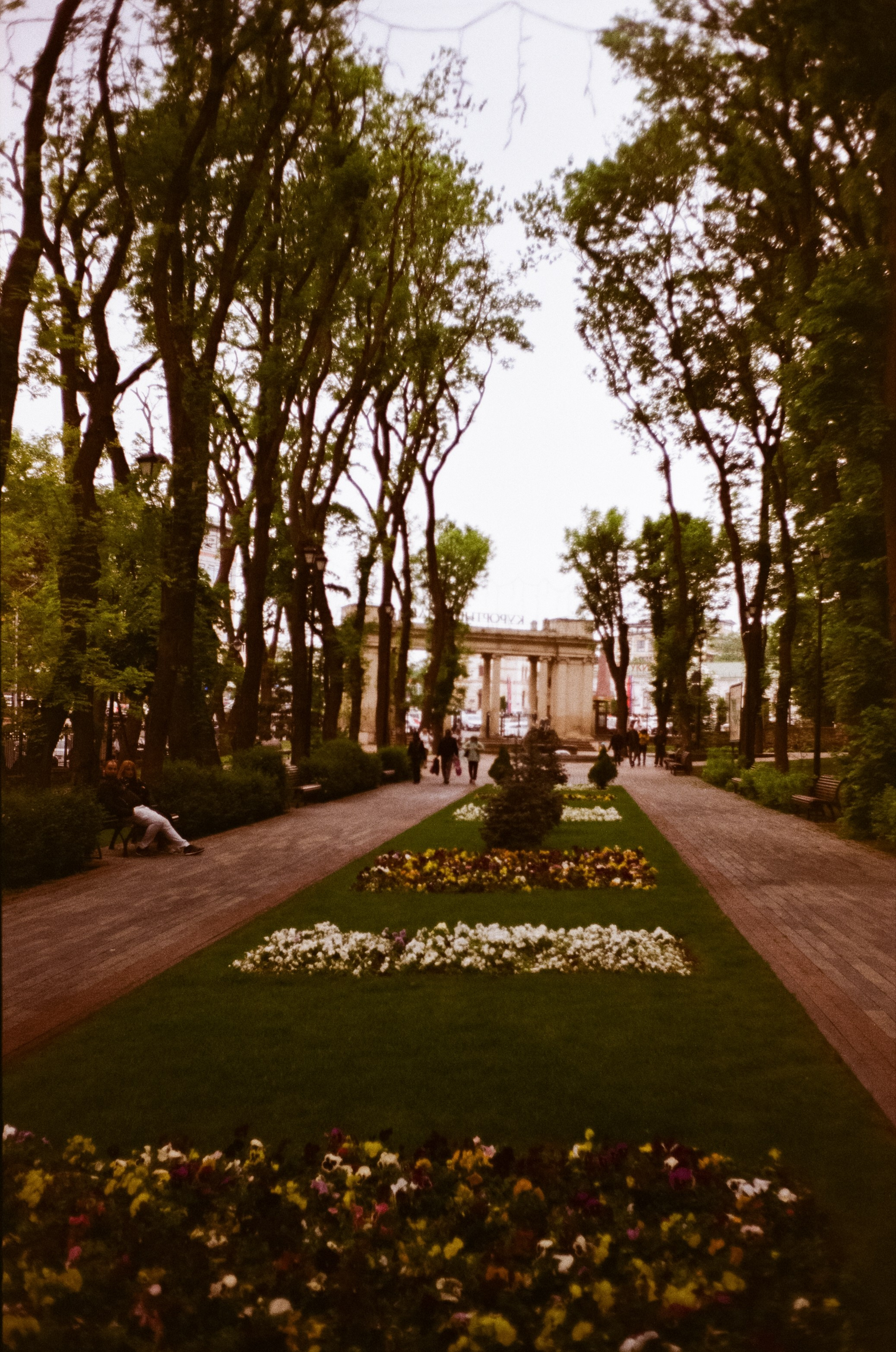 Ессентуки / 4 мая 2024 года / Minox 35GT / Konica VS Super 200