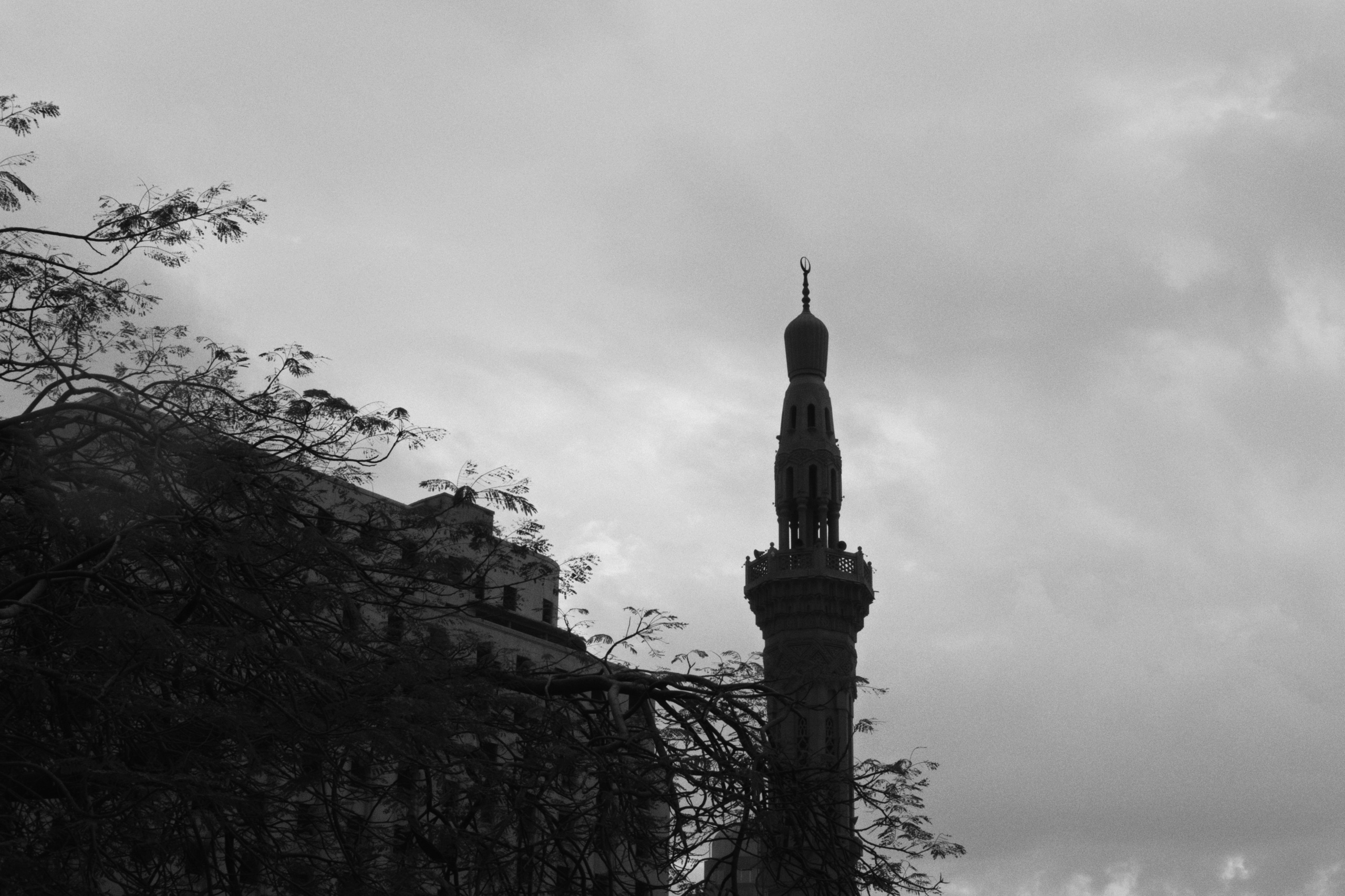 Cairo / Egypt AW25. Фотограф Юрин Евгений