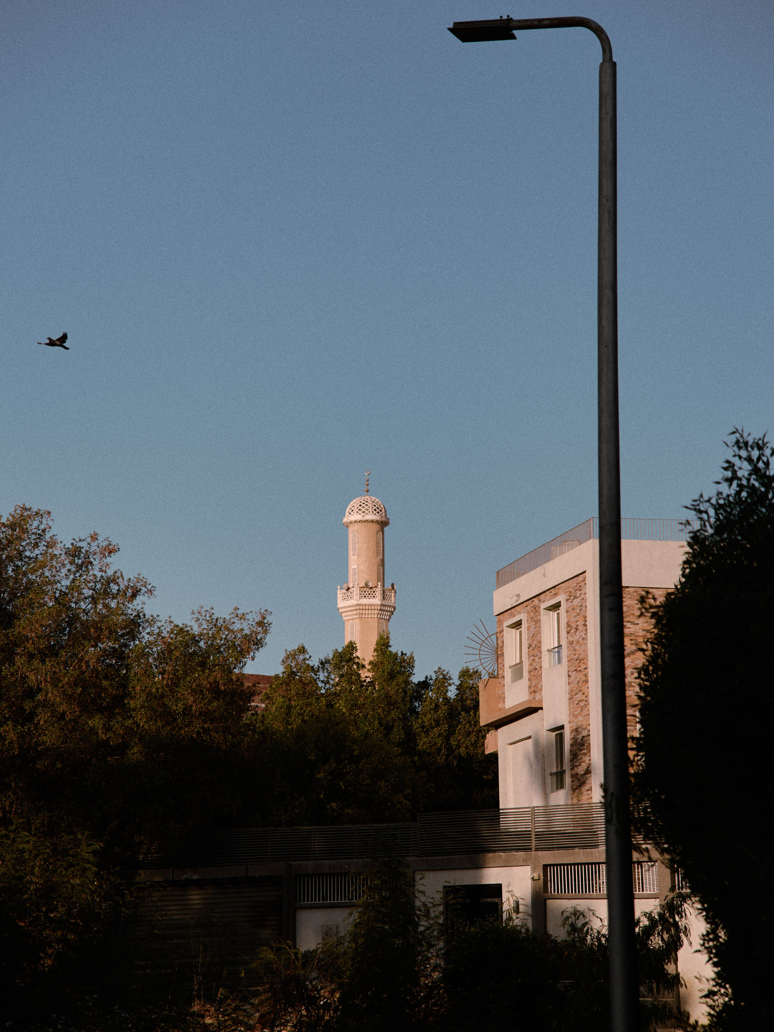 Другое 2. Jorgis Talè — photographer, kind person, teacher of arts and other mag