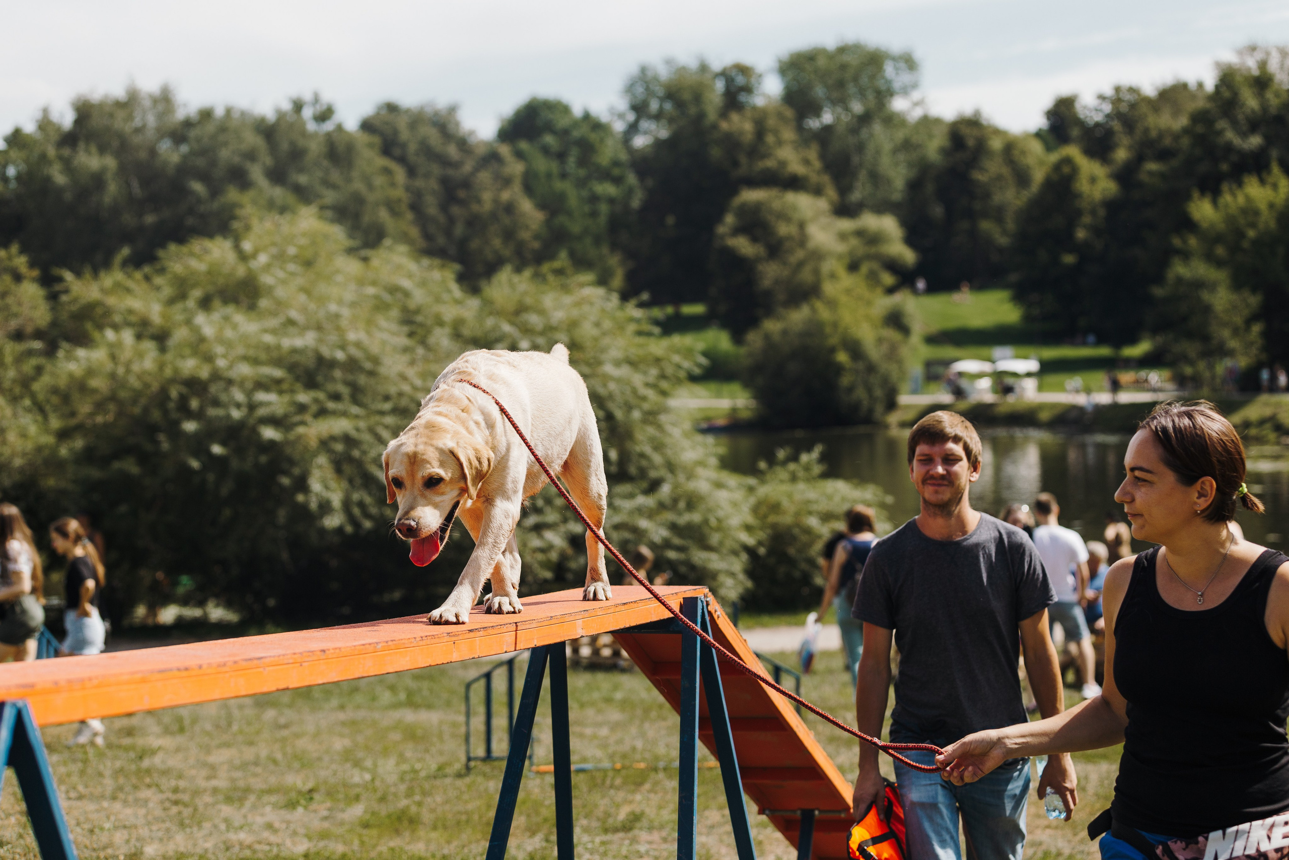 Petshop Sup day. Фотограф анималист Кристина Карпова, Москва