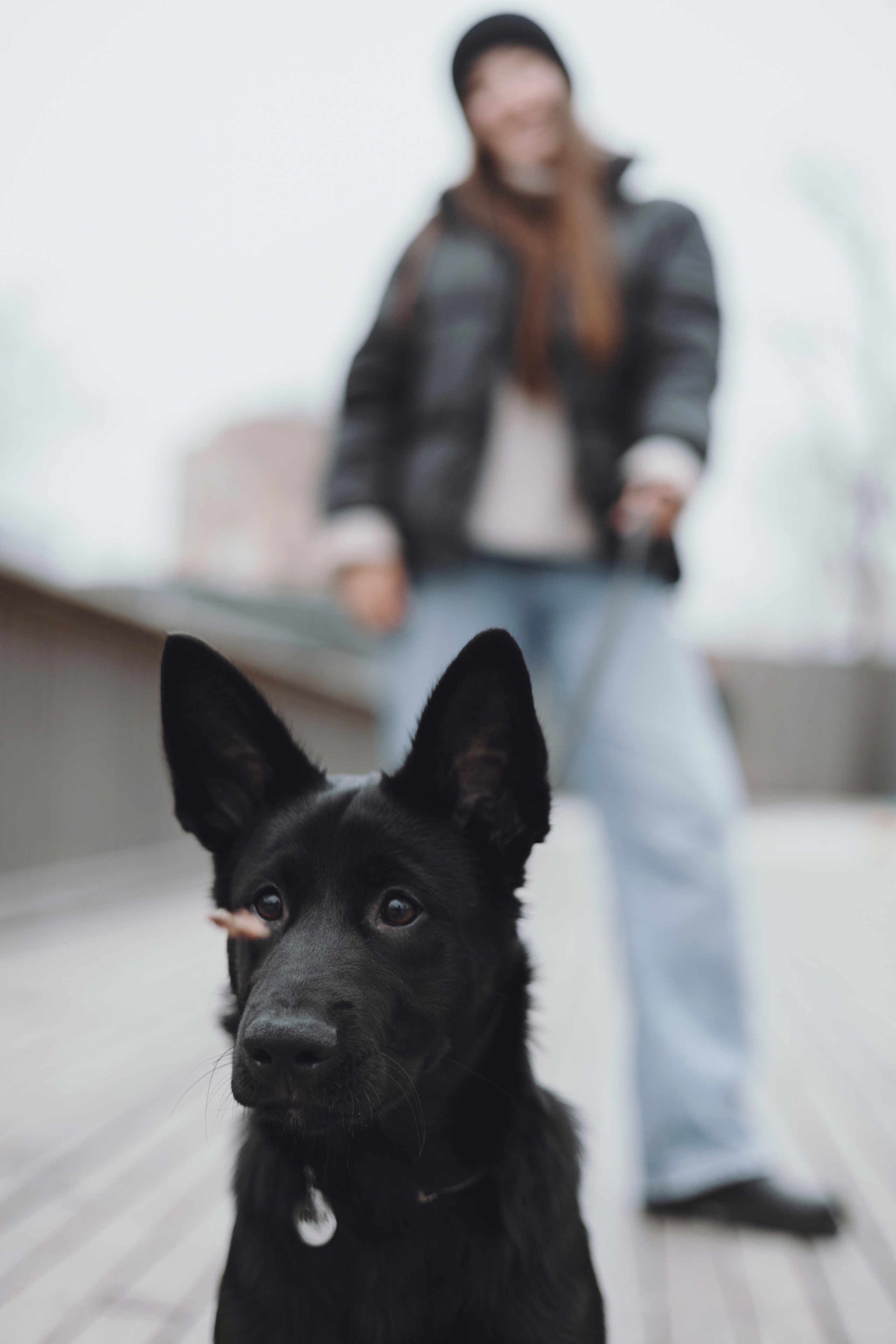 Ксения и Юта. Фотограф — анималист Владивосток, Алина