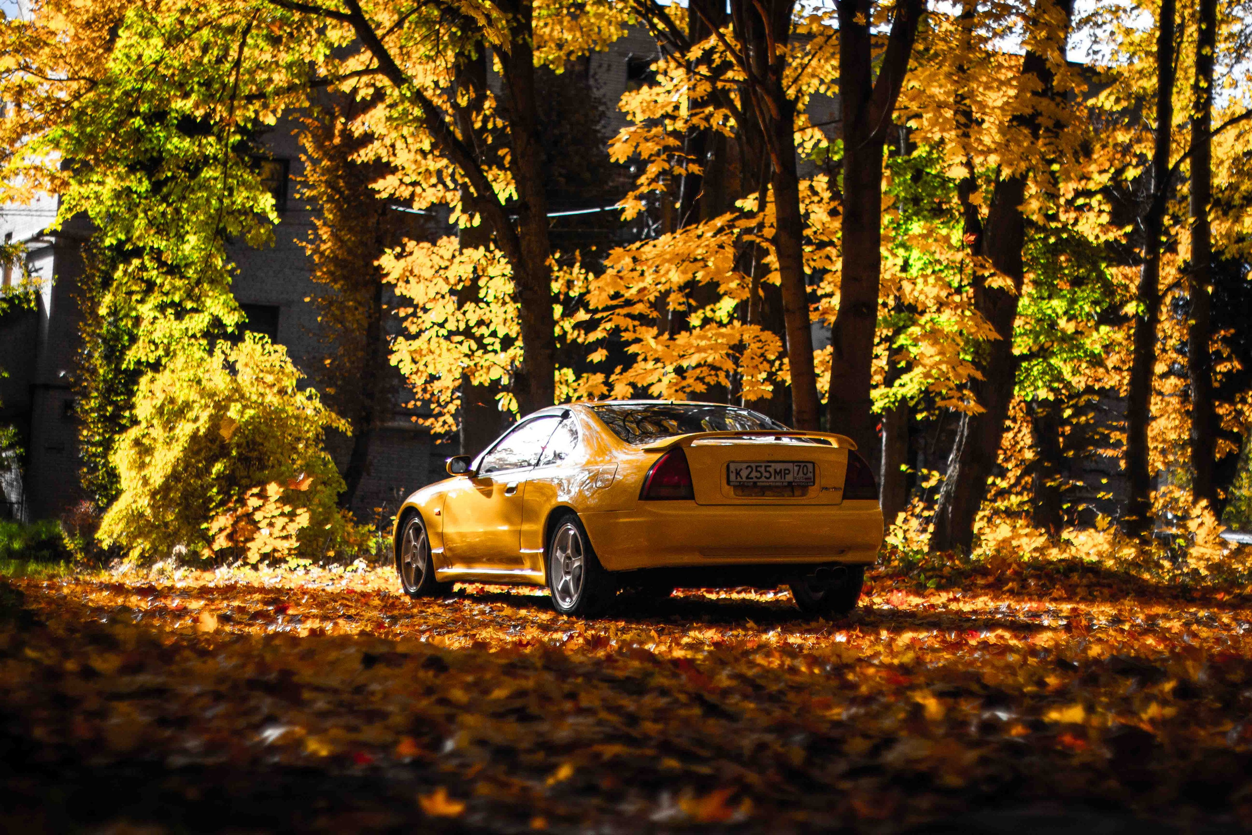 Осеннее настроение. Александр Попов