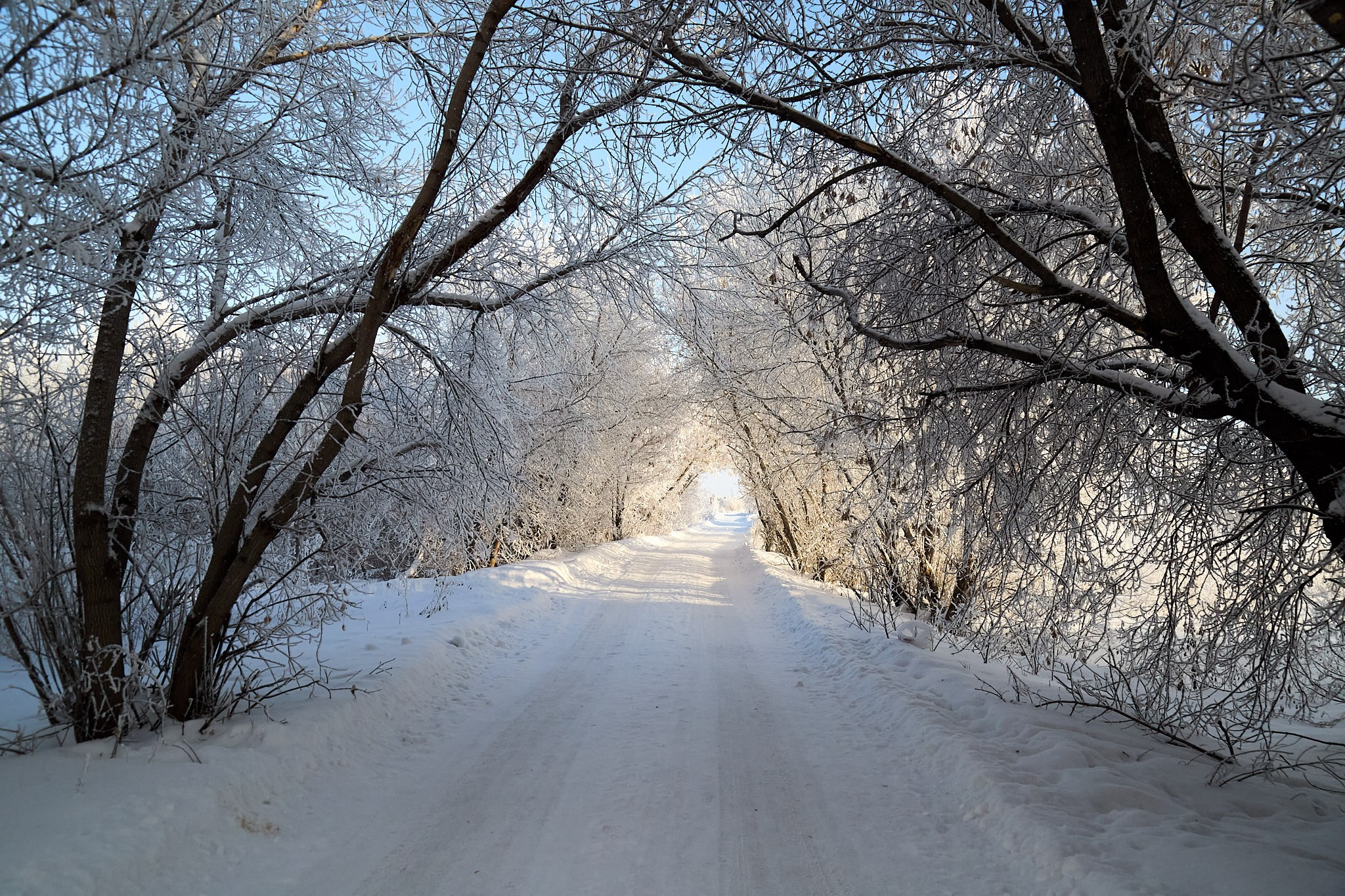 Предновогодняя сказка. Фотограф Омск | Александр Вандеров