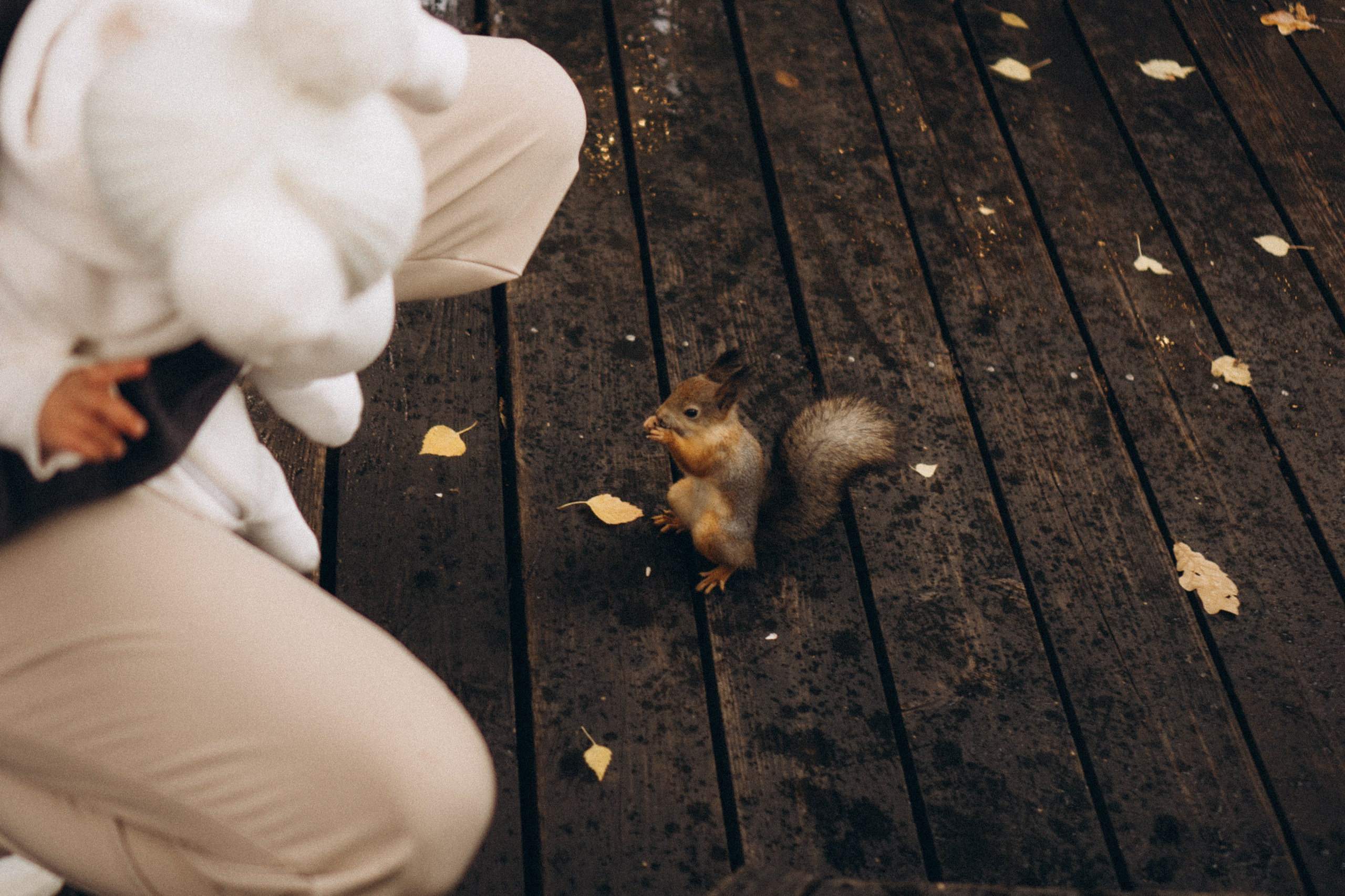 День рождения малышки. Профессиональный фотограф, Санкт-Петербург — Виктория Богомолова