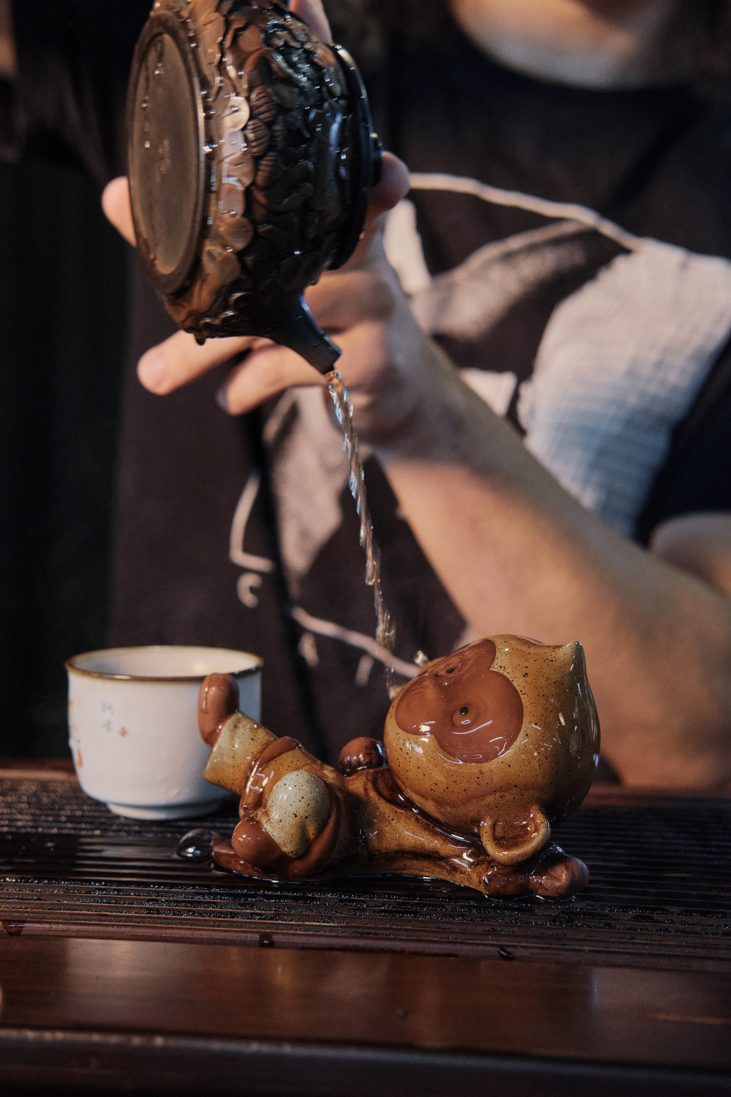 Белая панда — магазин чайных ощущений. Артём Кузнецов, фотограф, Новосибирск