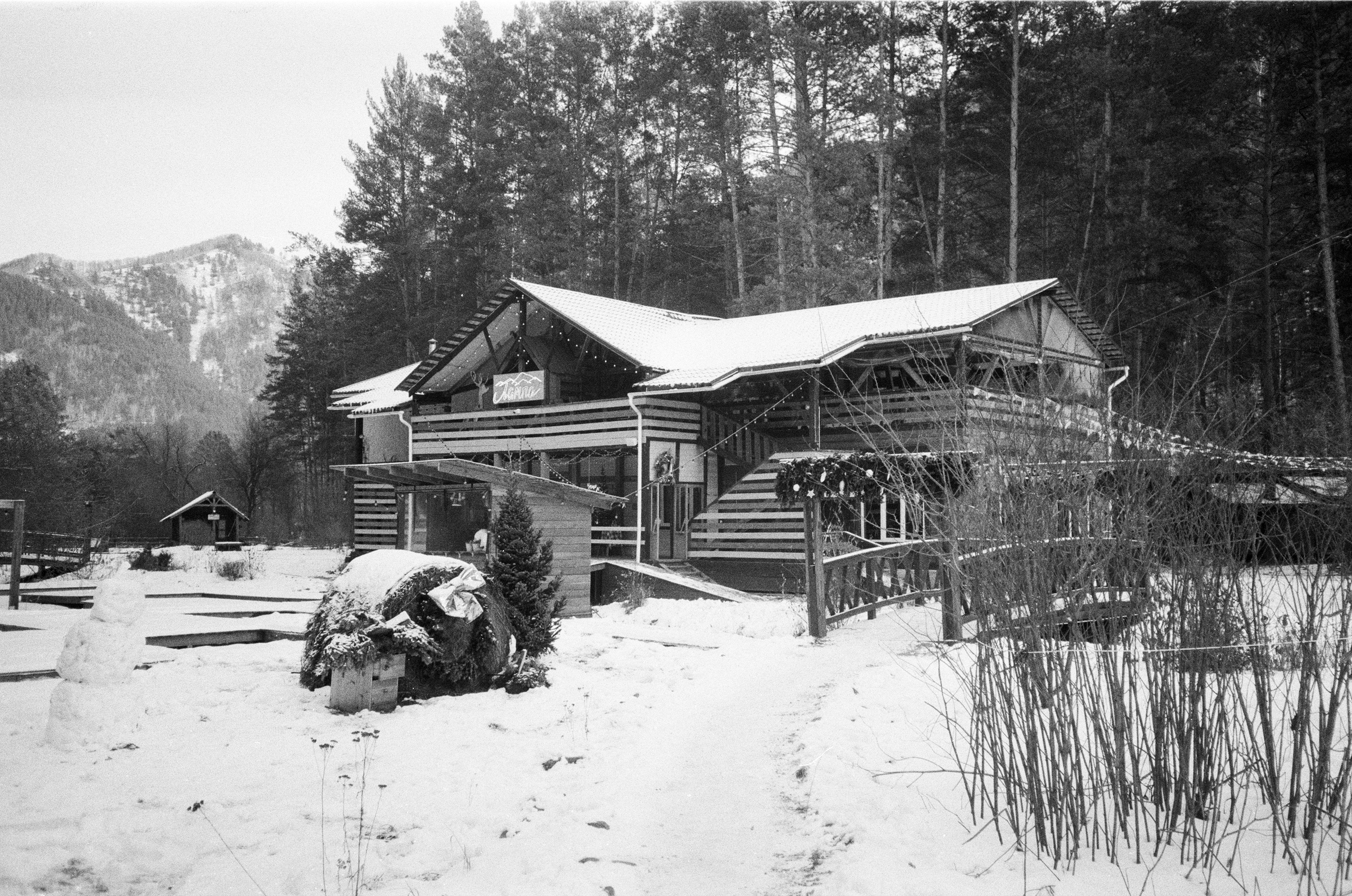 Olympus AF-10 SUPER / Ilford PAN 400 / Алтай, зима 2023 год