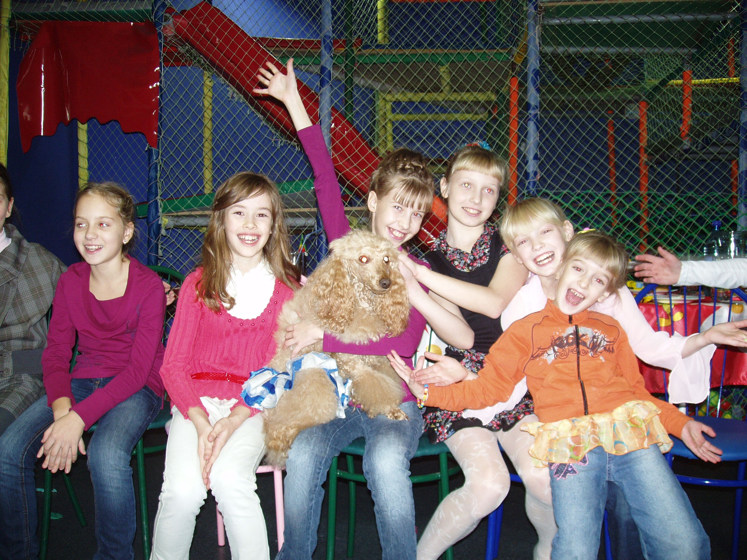 Катя ДР 11 лет Василек 30.11.2010. Семейный, Свадебный фотограф СПБ Питер— Романова Екатерина