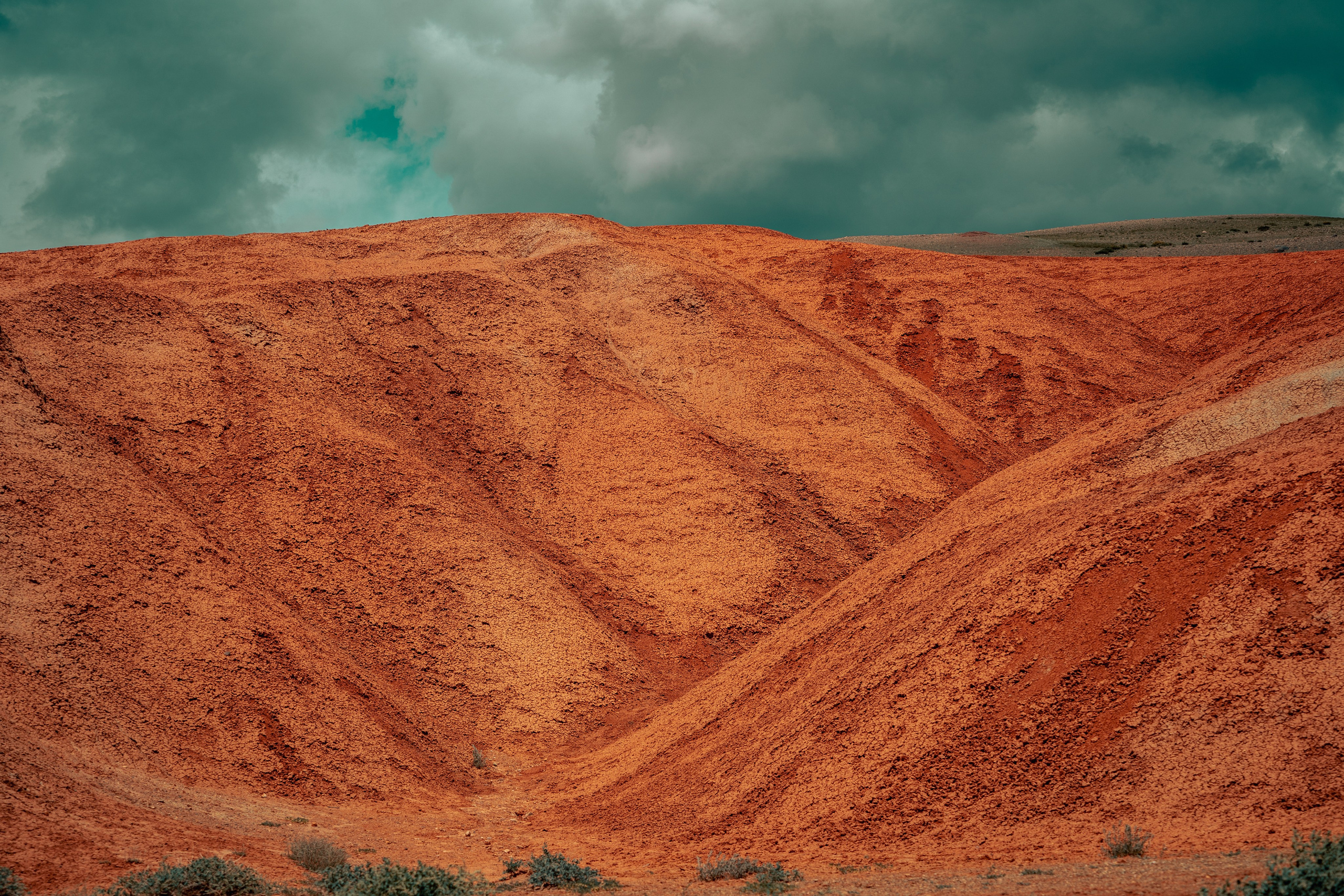 Алтай. Оператор и Фотограф в Санкт-Петербурге и Москве