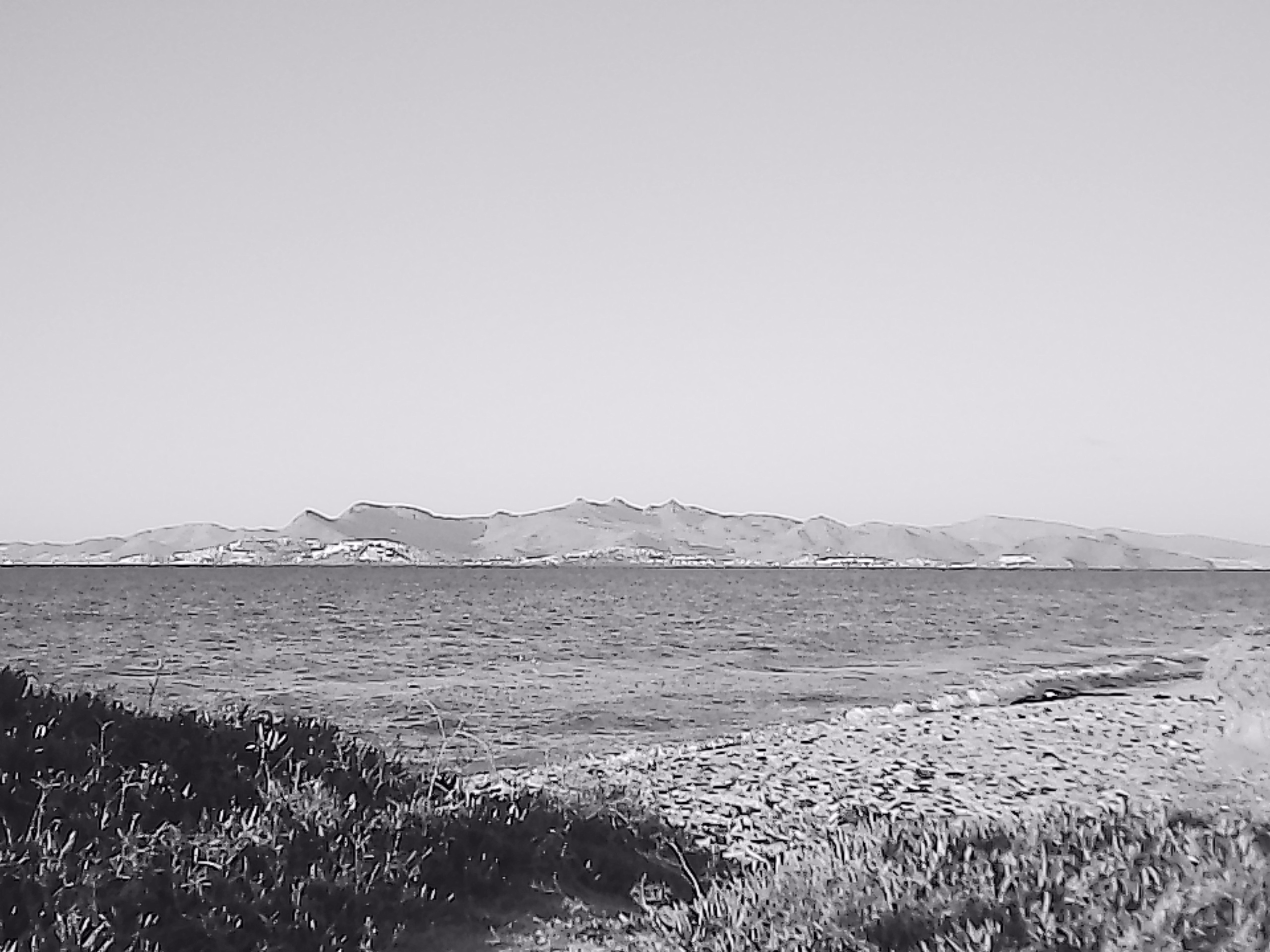 «Крошка 🐣». Anita_photo